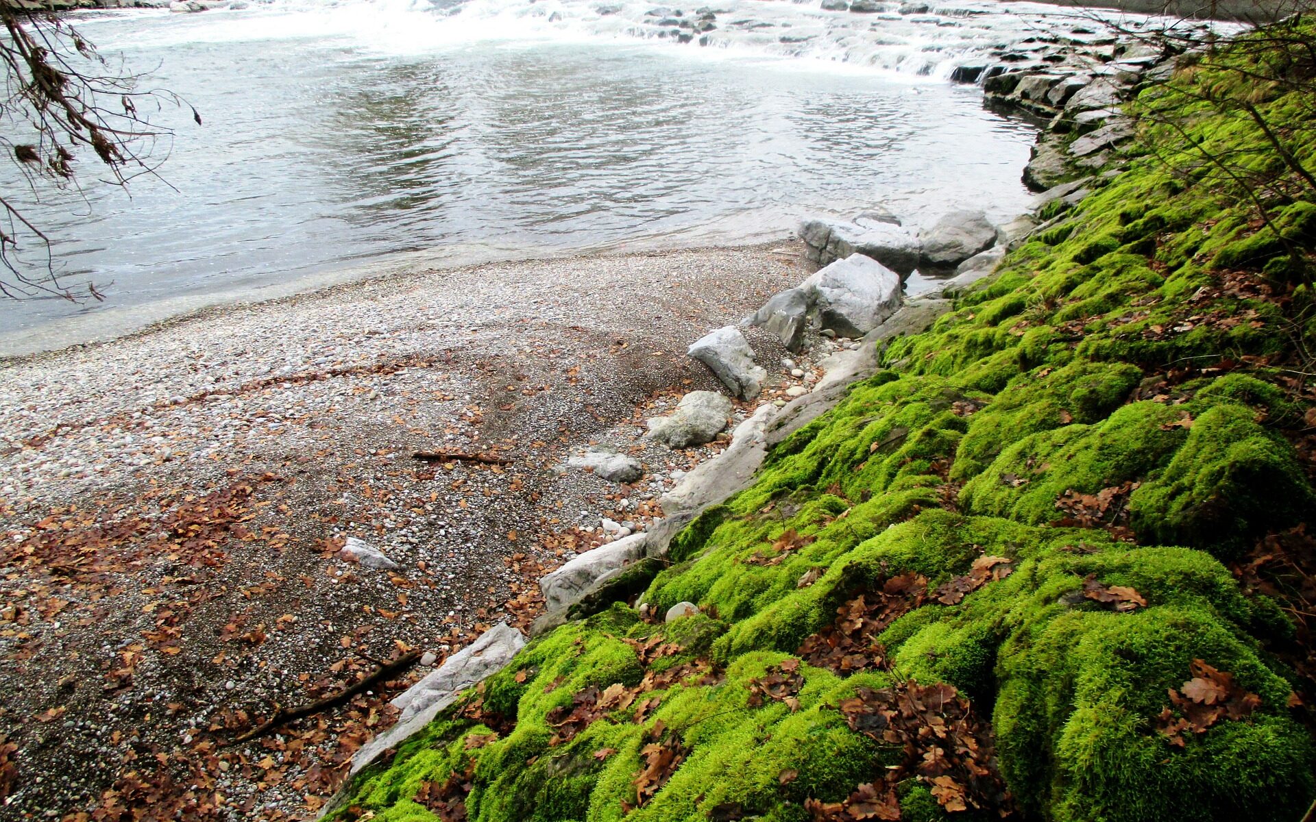 Professional translations in Niederhelfenschwil