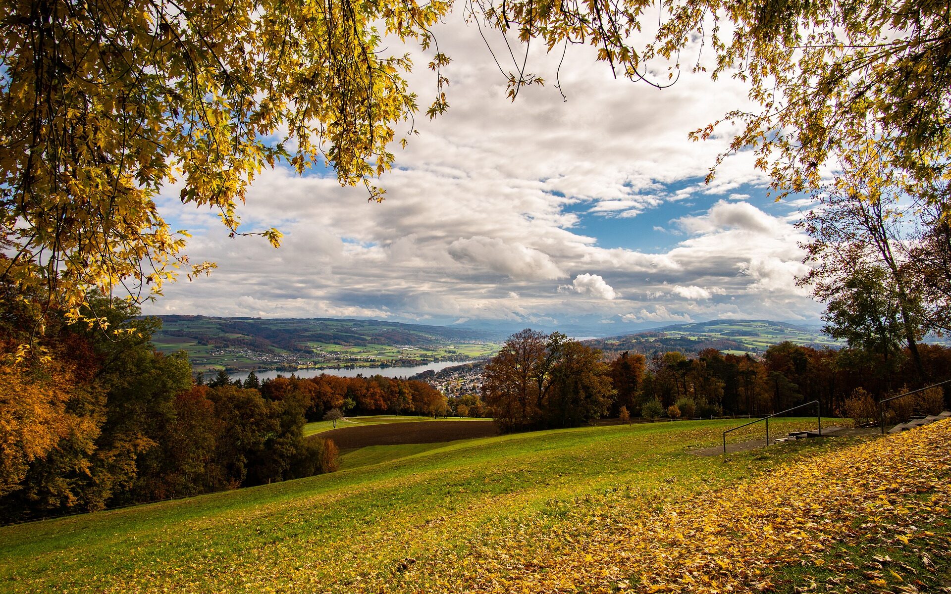 Übersetzungsbüro Reinach