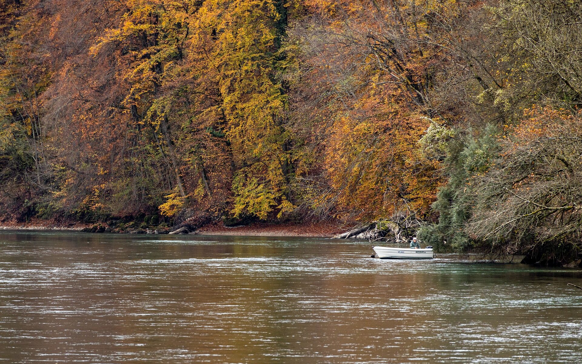 Traduzioni professionali a Zuchwil