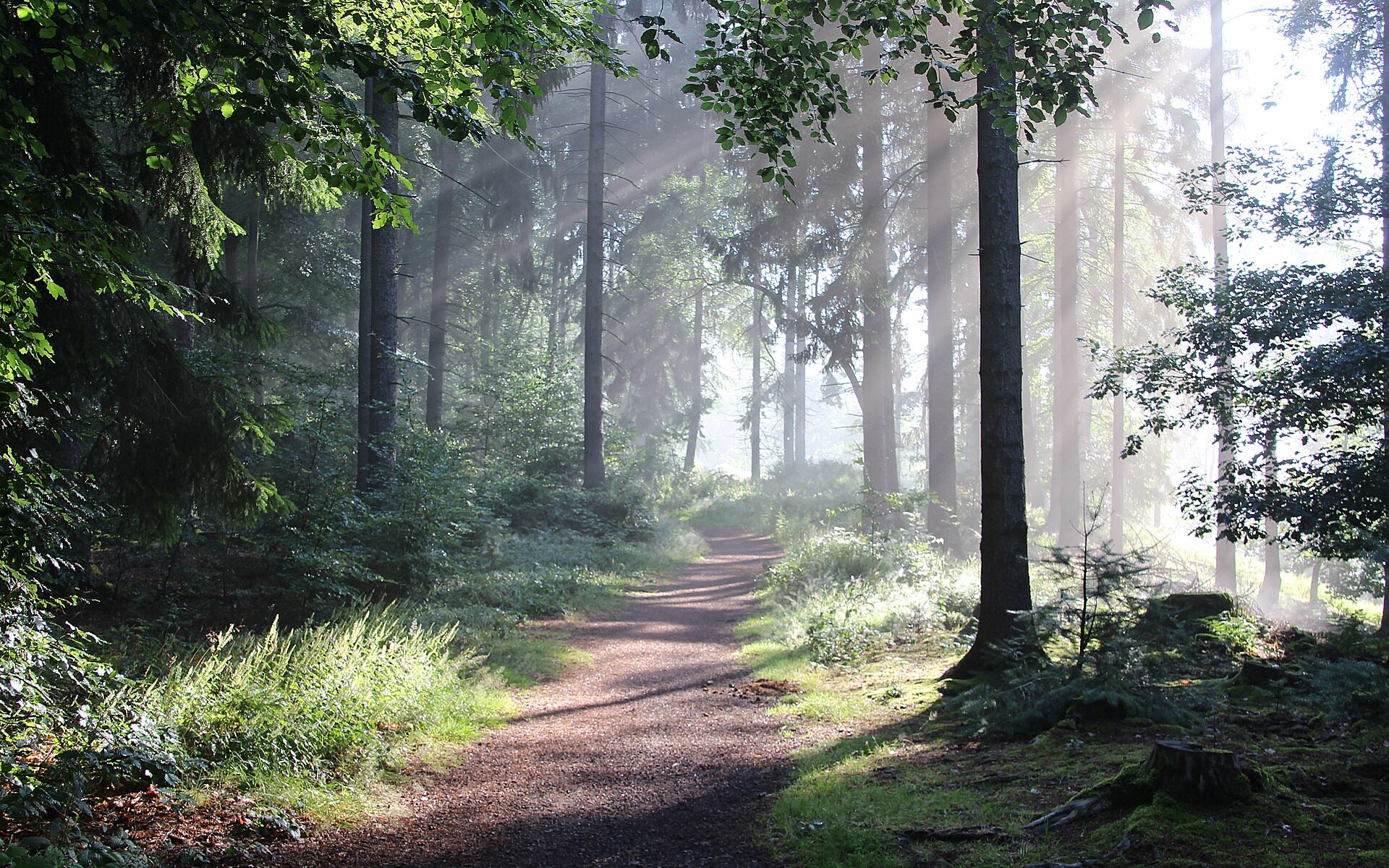 Übersetzungsbüro Ramlinsburg