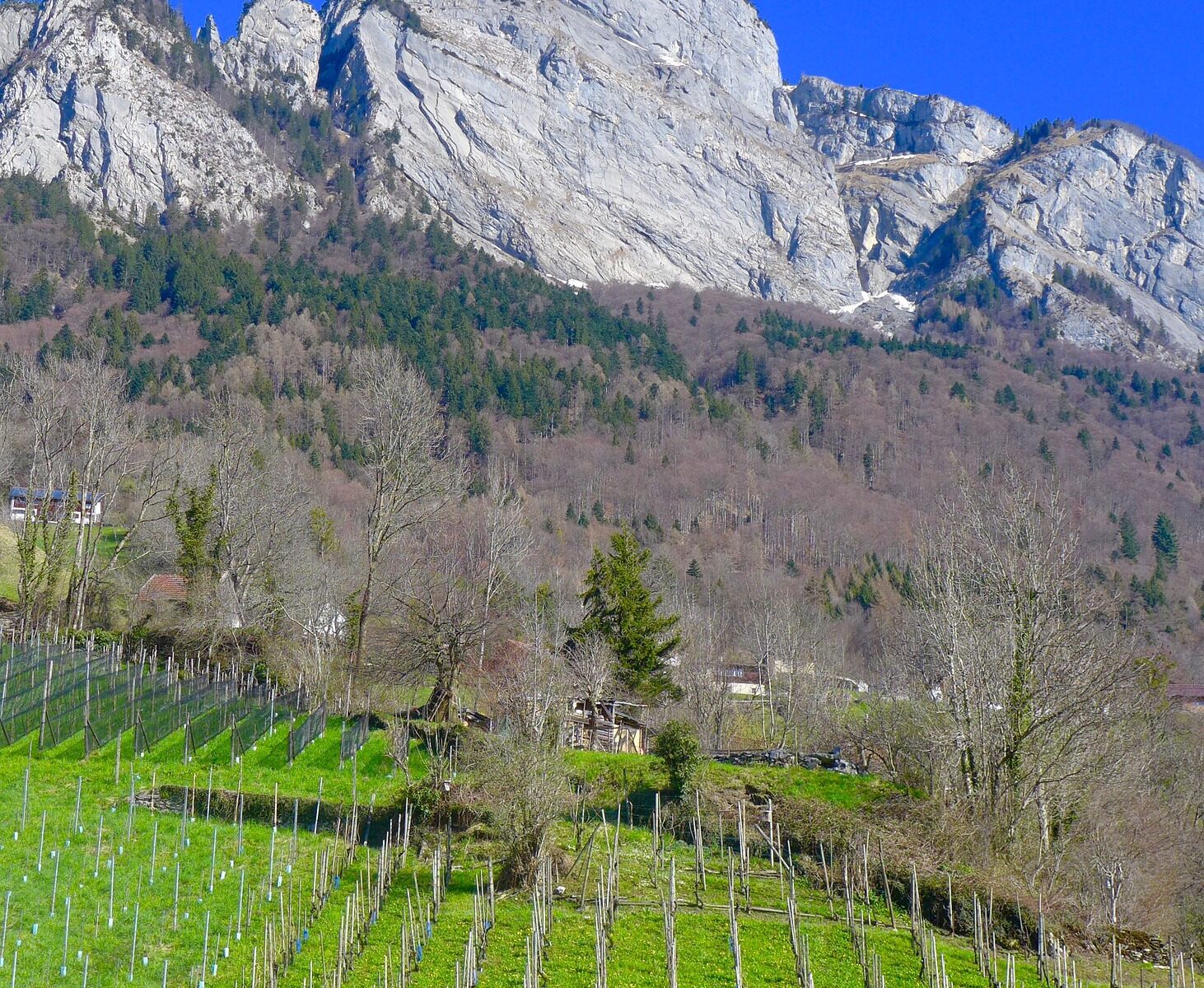 Übersetzungsbüro Sargans