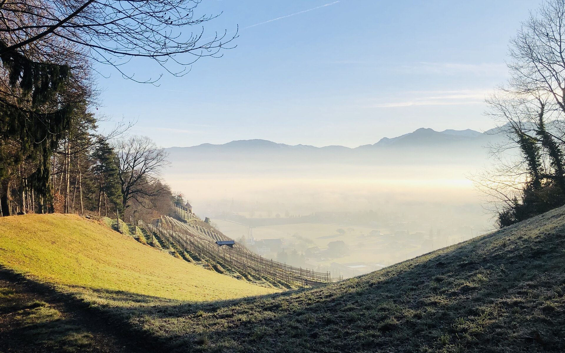 Übersetzungsbüro Berneck