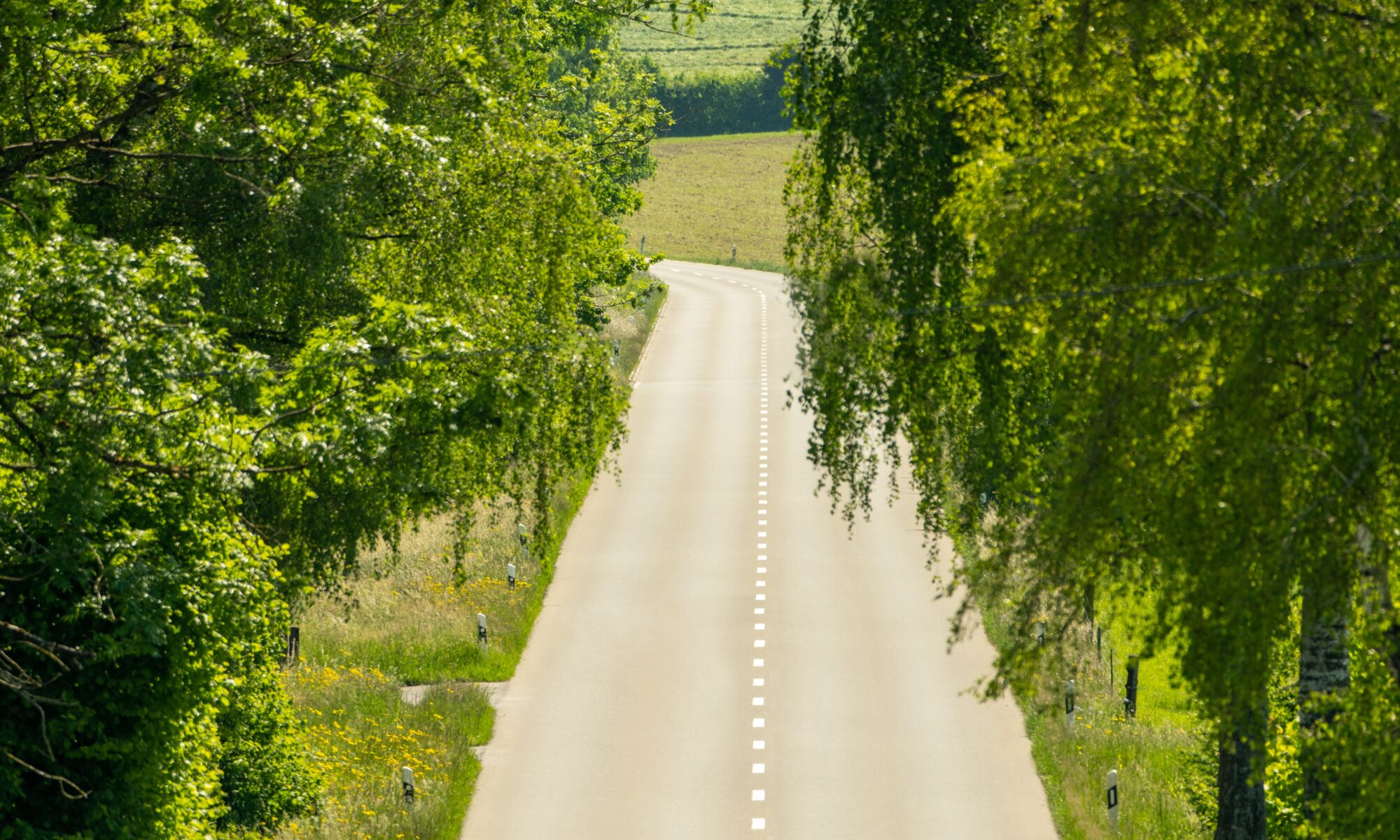 Übersetzungsbüro Hausen am Albis