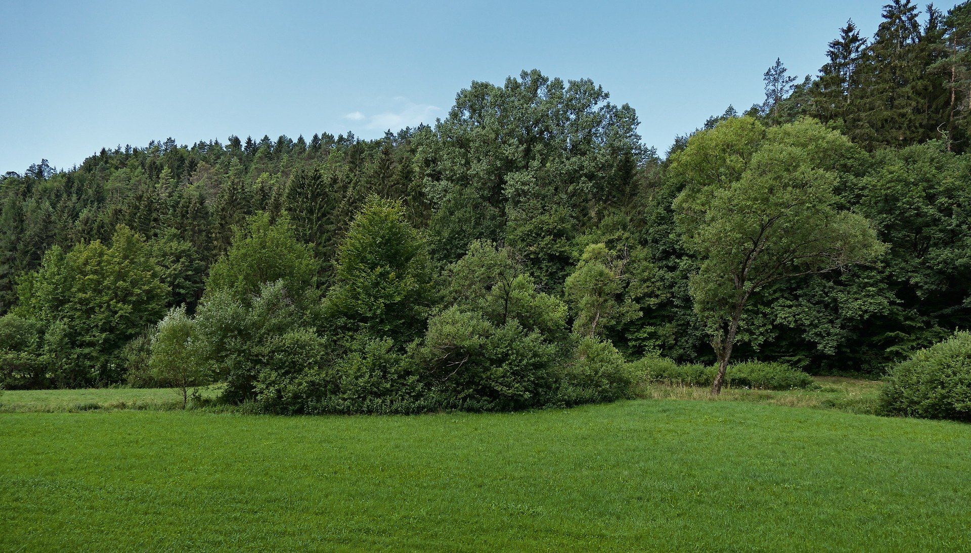 Übersetzungsbüro Kappel am Albis