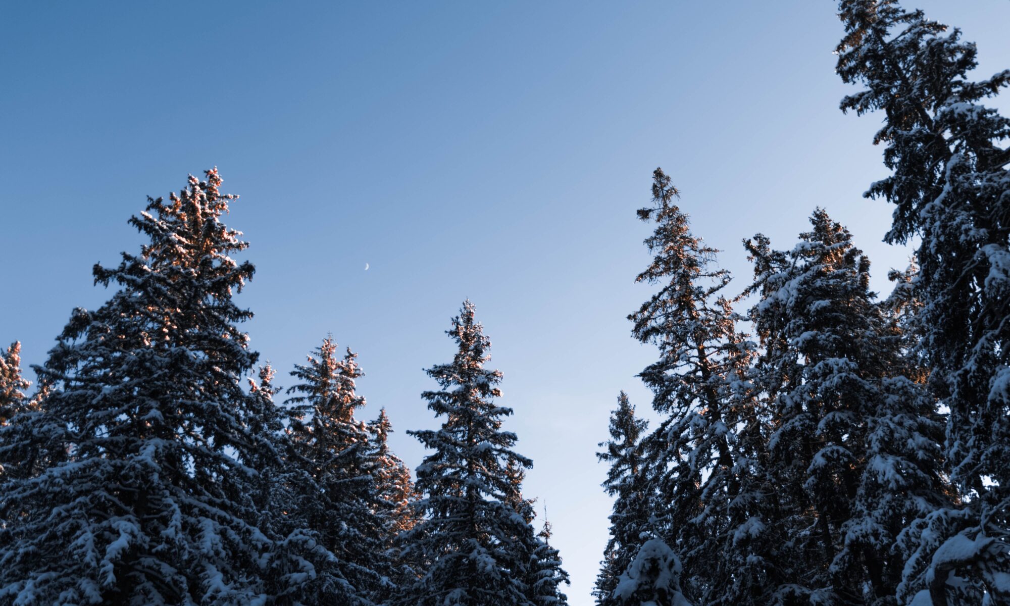 Professional translations in Oberdorf, Nidwalden