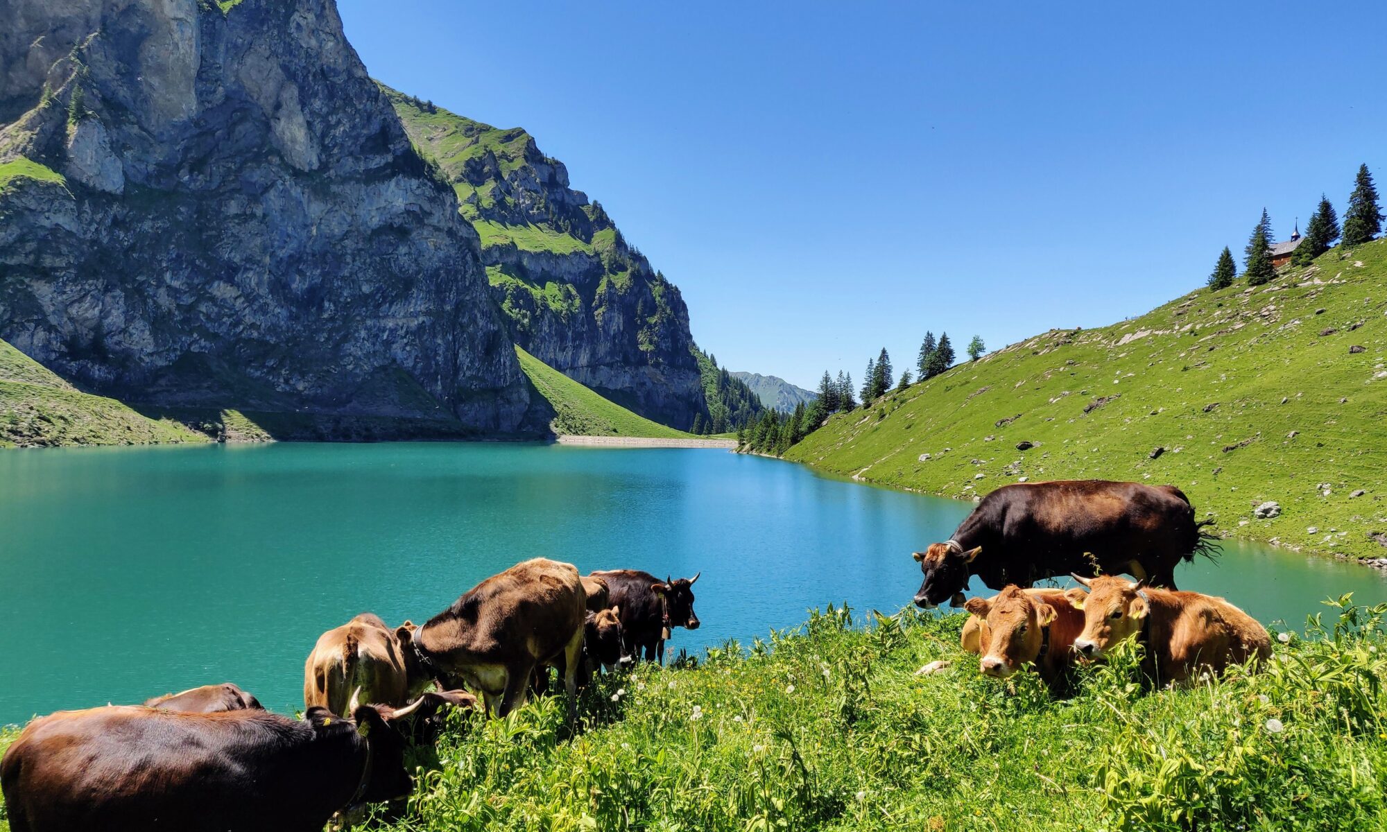 Übersetzungsbüro Wolfenschiessen