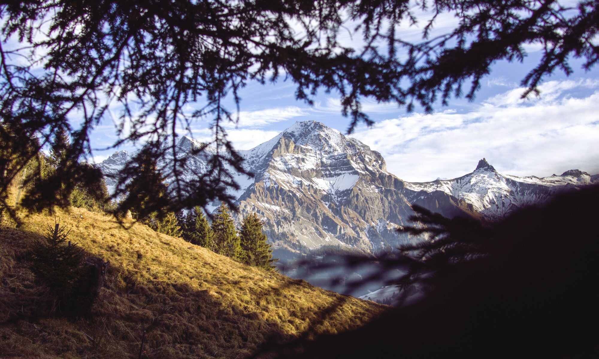 Übersetzungsbüro Adelboden