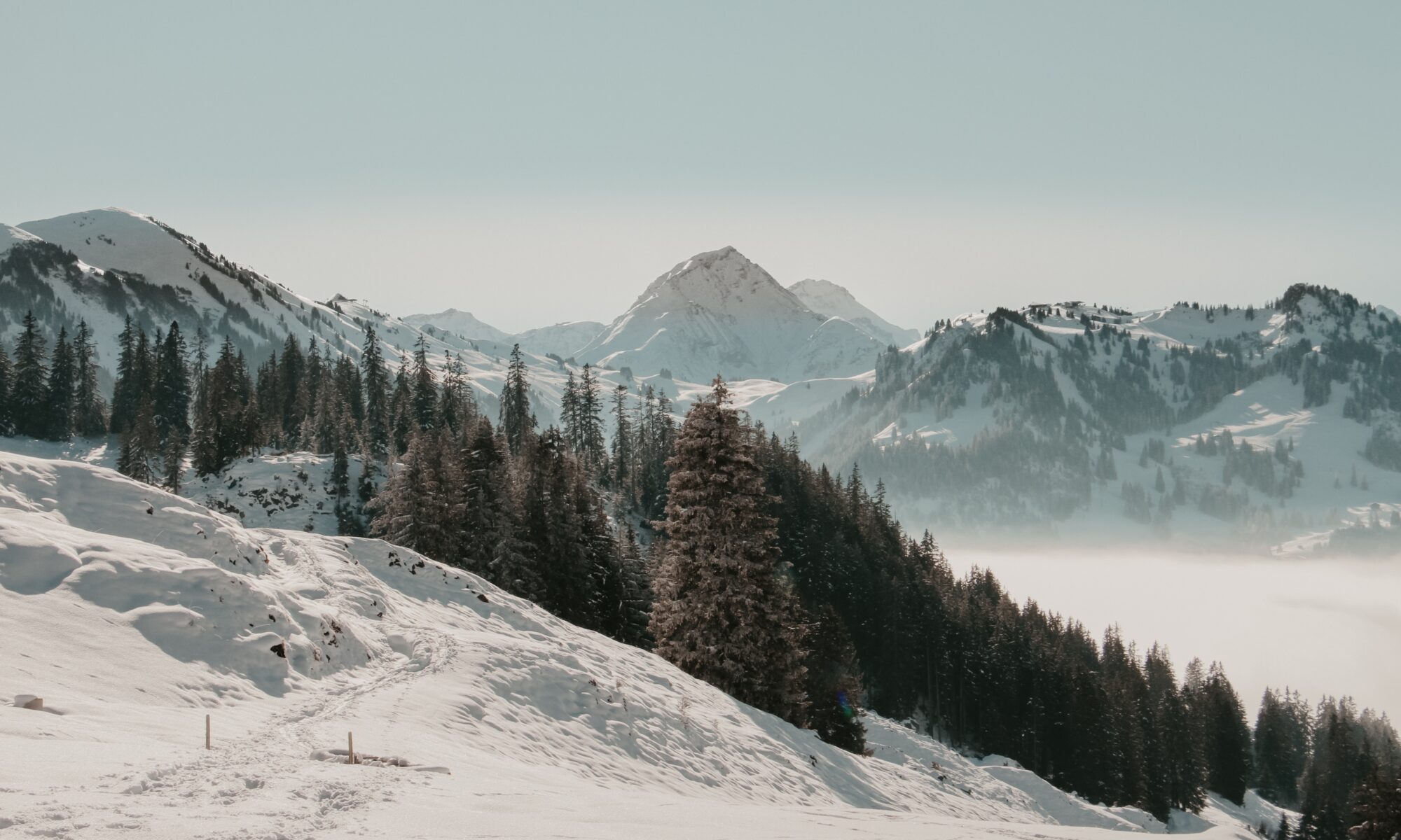 Übersetzungsbüro Zweisimmen