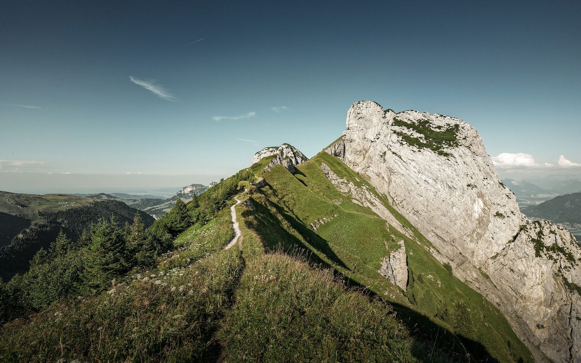 Traduzioni professionali a Sennwald