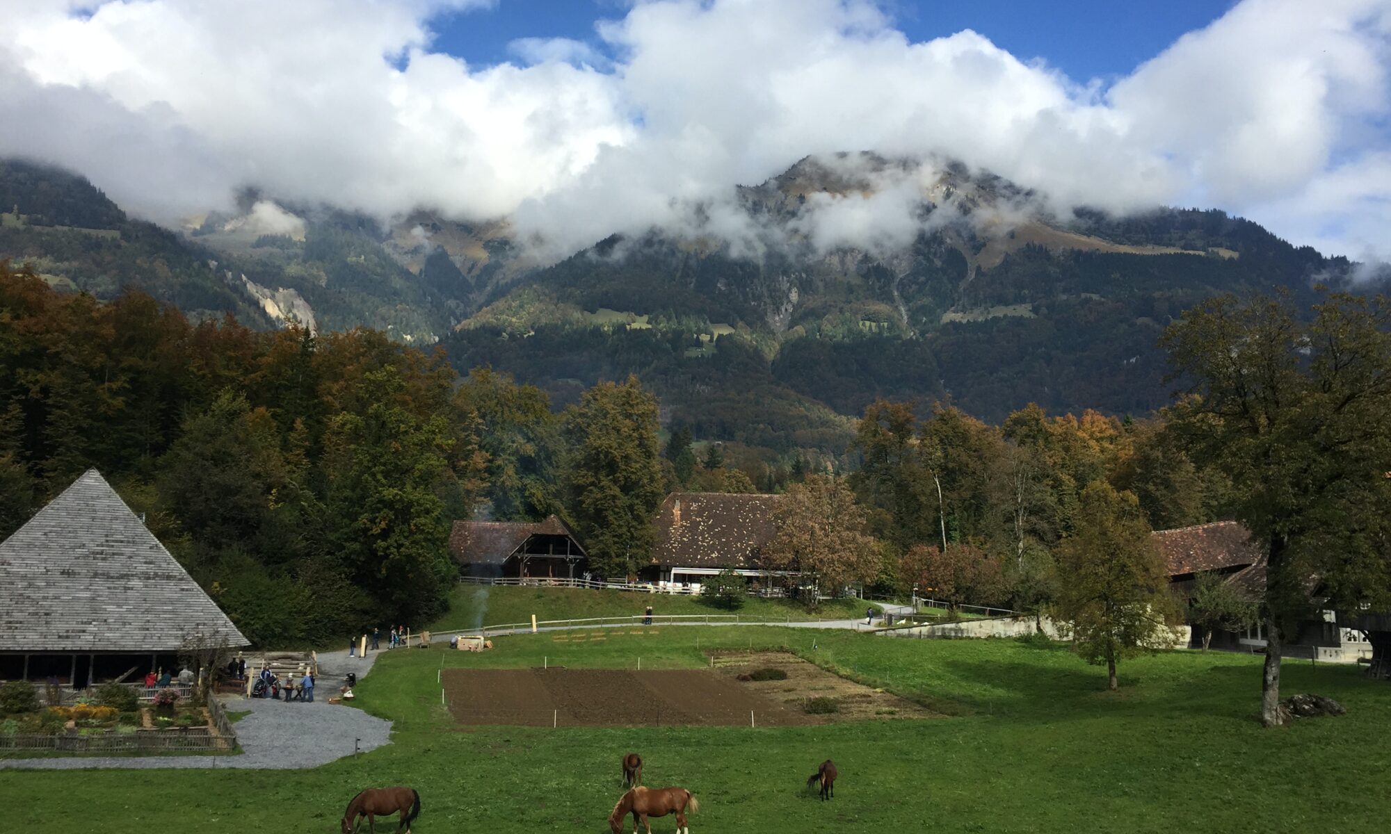 Übersetzungsbüro Hofstetten bei Brienz
