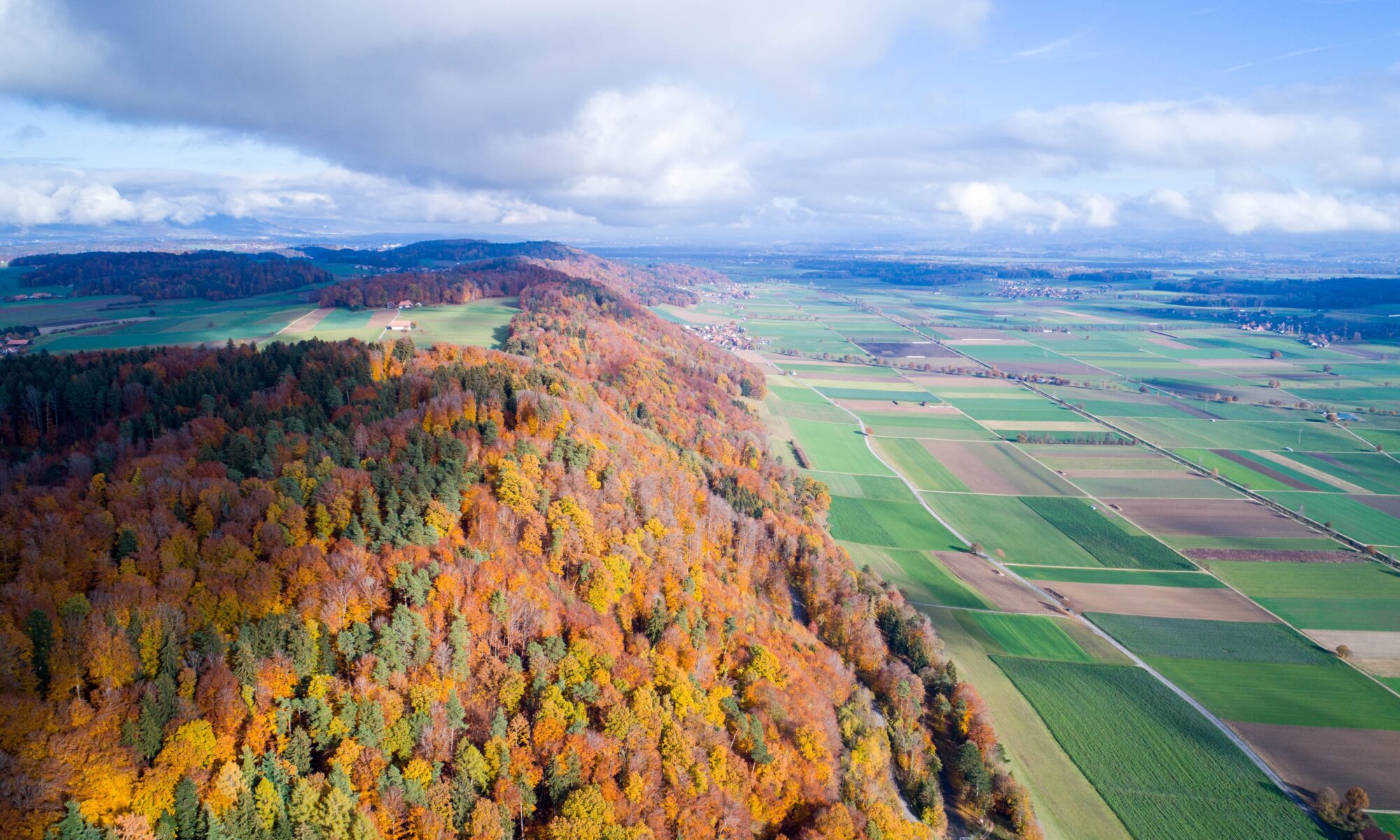 Übersetzungsbüro Messen