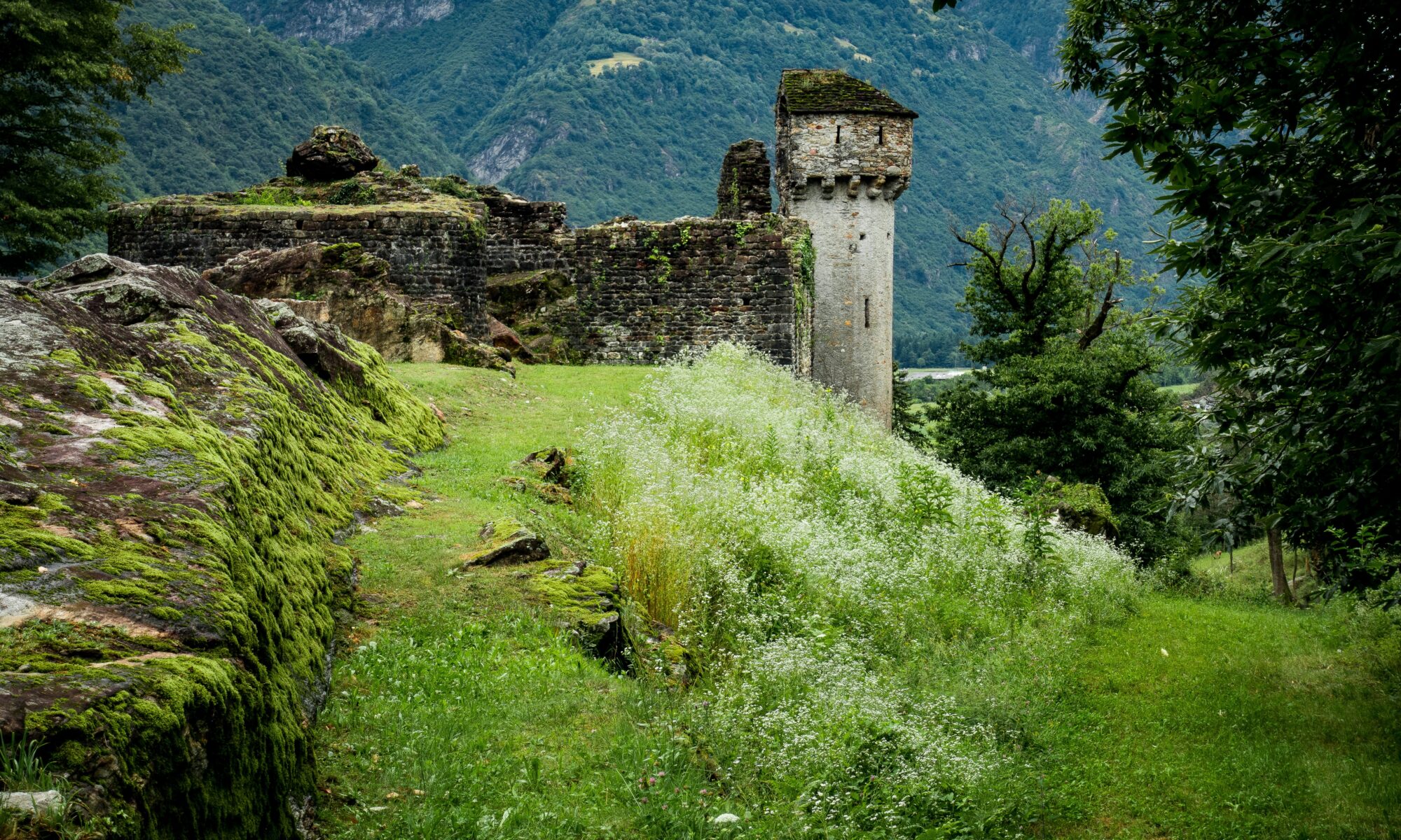 Traduzioni professionali a Serravalle