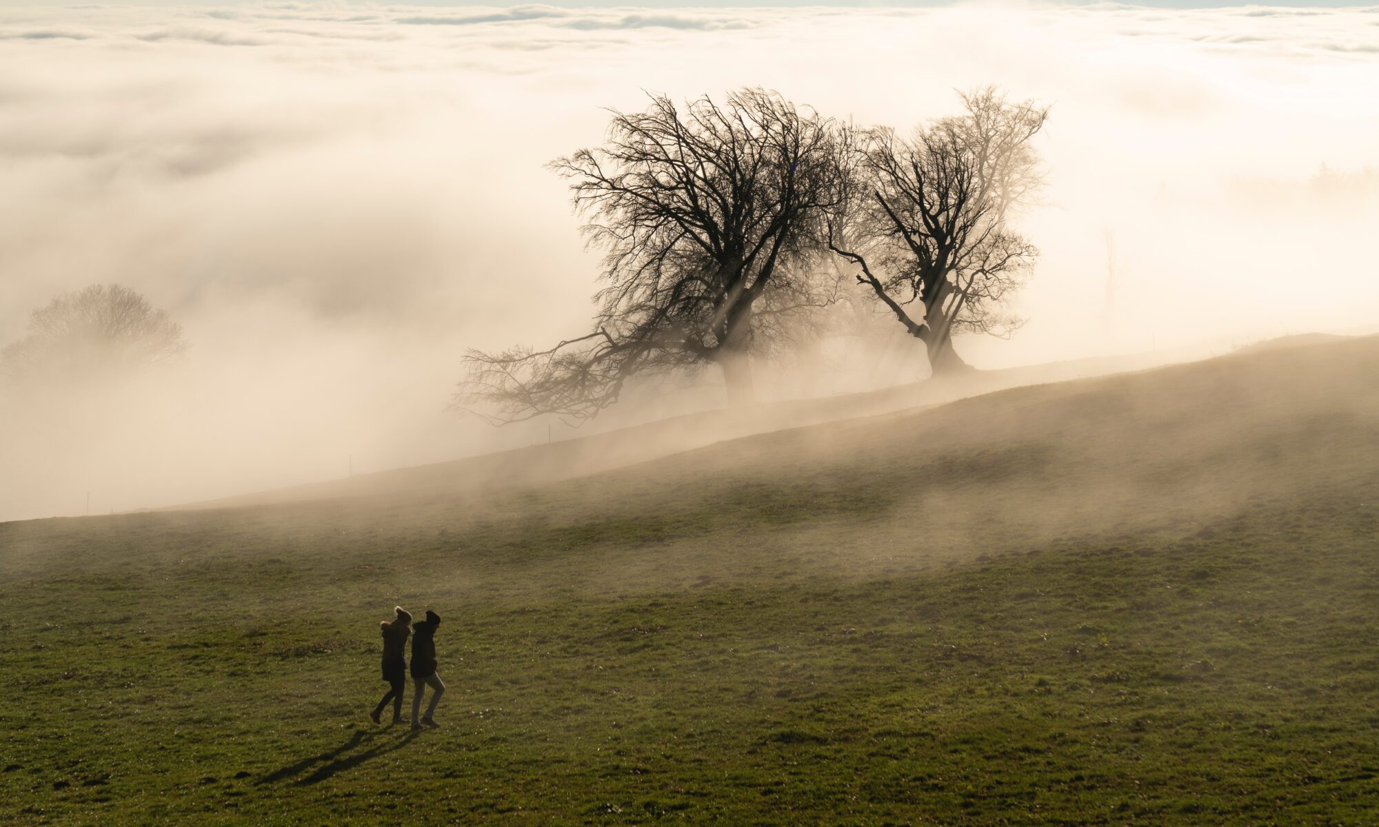 Professional translations in Wangen bei Olten