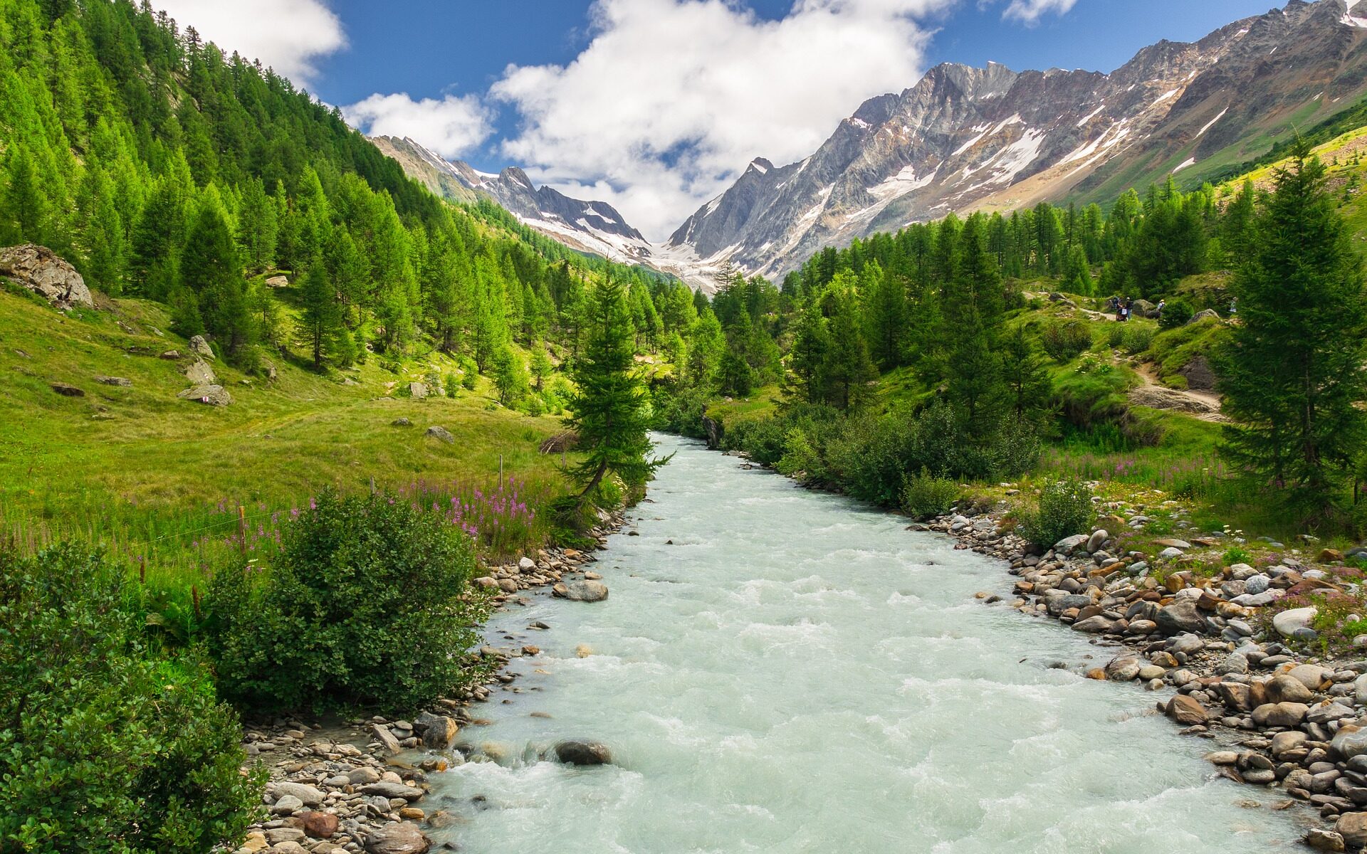 Professional translations in Lütschental