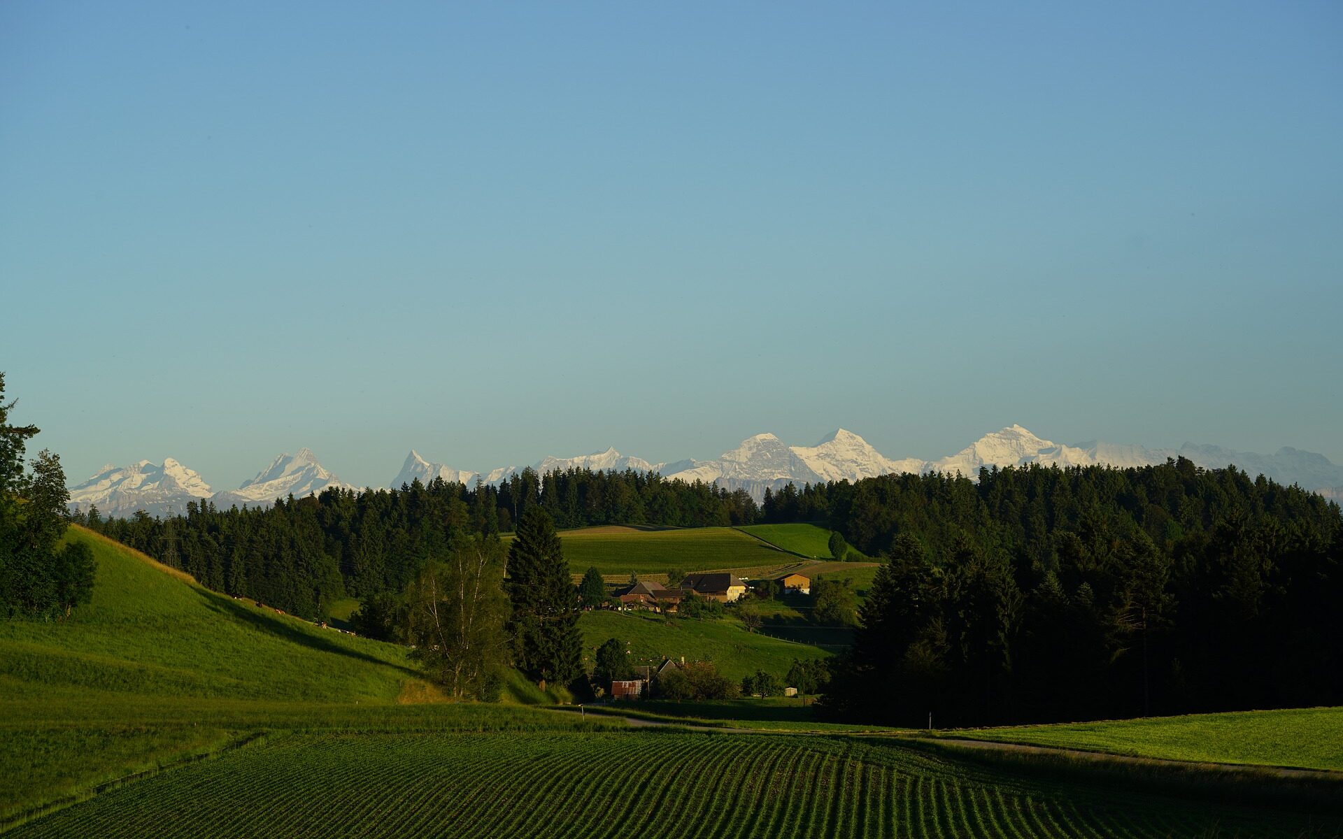 Übersetzungsbüro Niedermuhlern