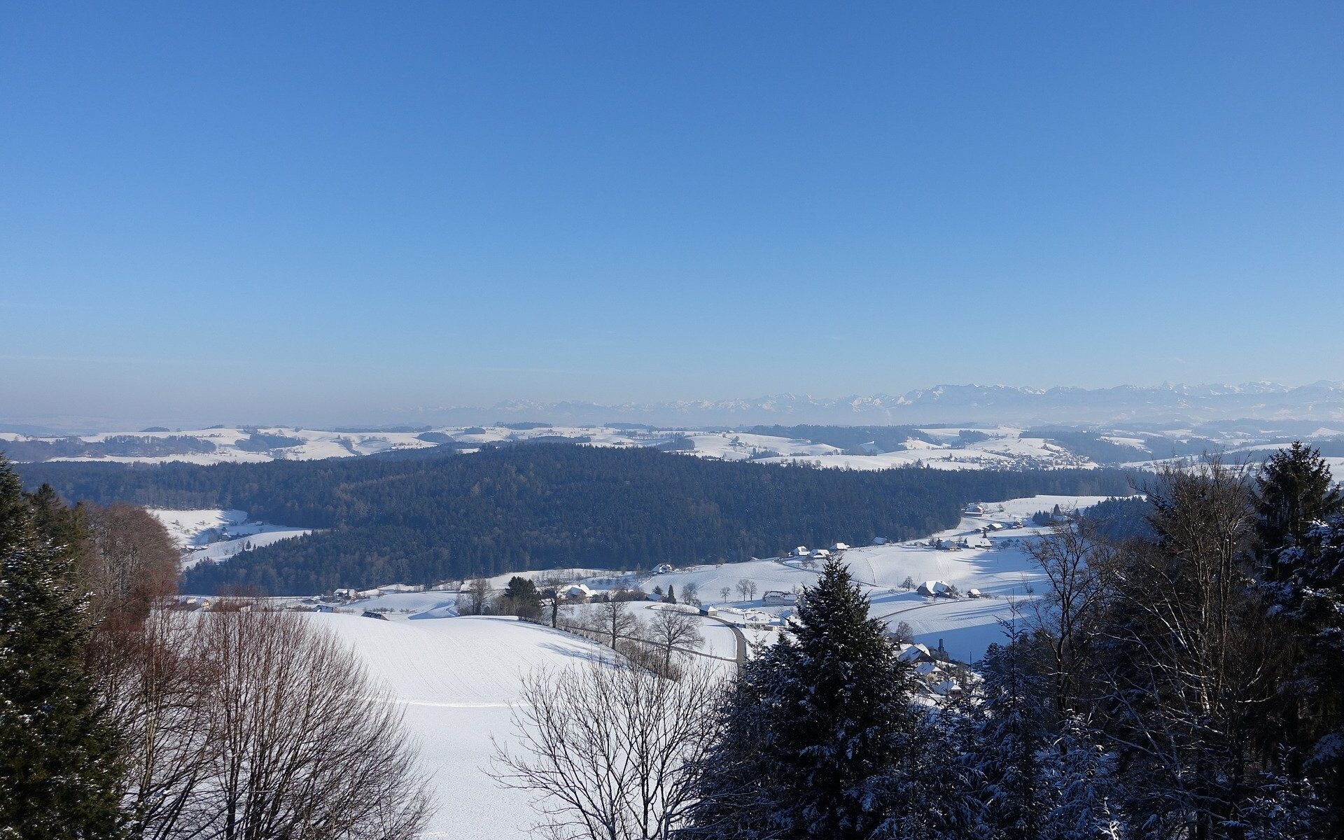 Traductions professionnelles à Reisiswil