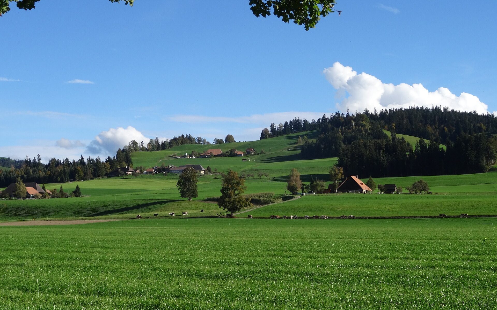 Übersetzungsbüro Rumendingen