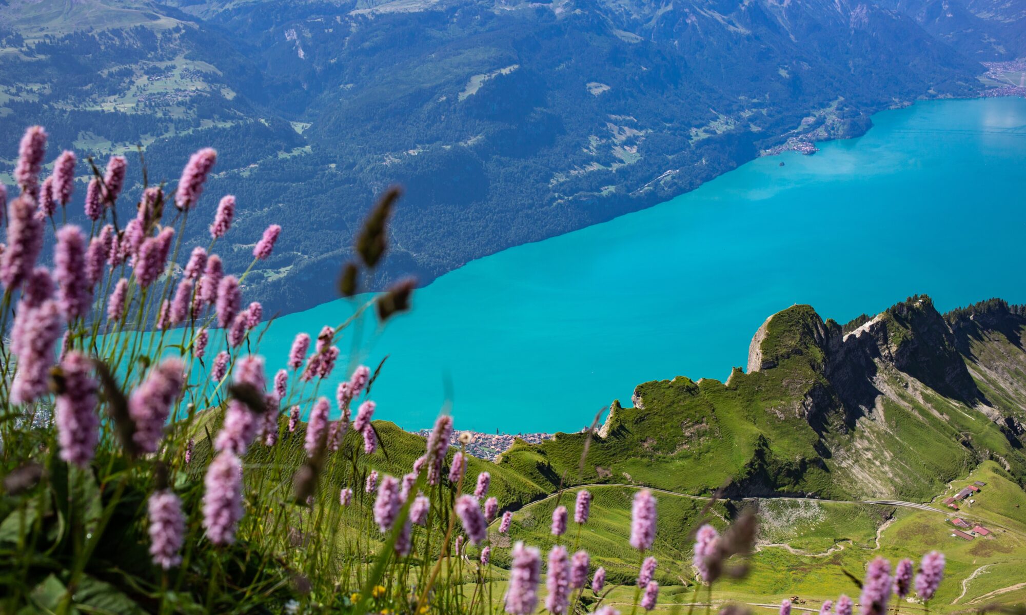 Traductions professionnelles à Schwanden bei Brienz