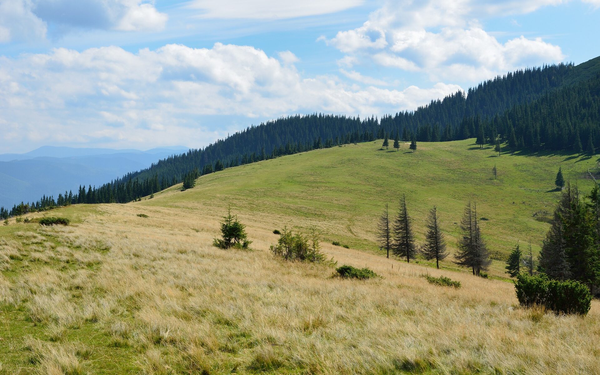 Traduzioni professionali a Sorvilier