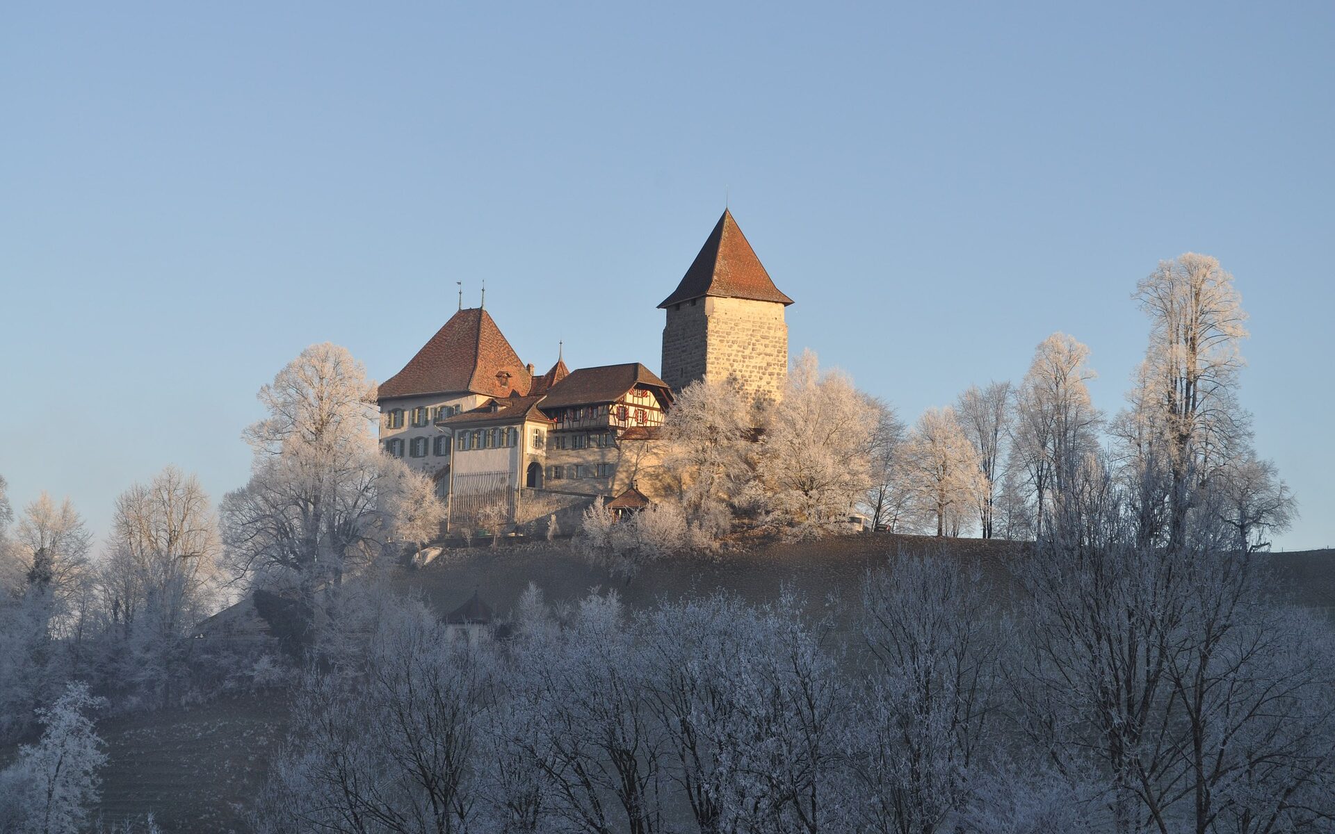 Übersetzungsbüro Trachselwald