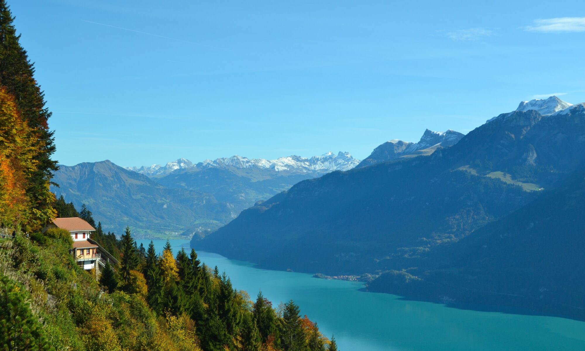 Professional translations in Unterseen