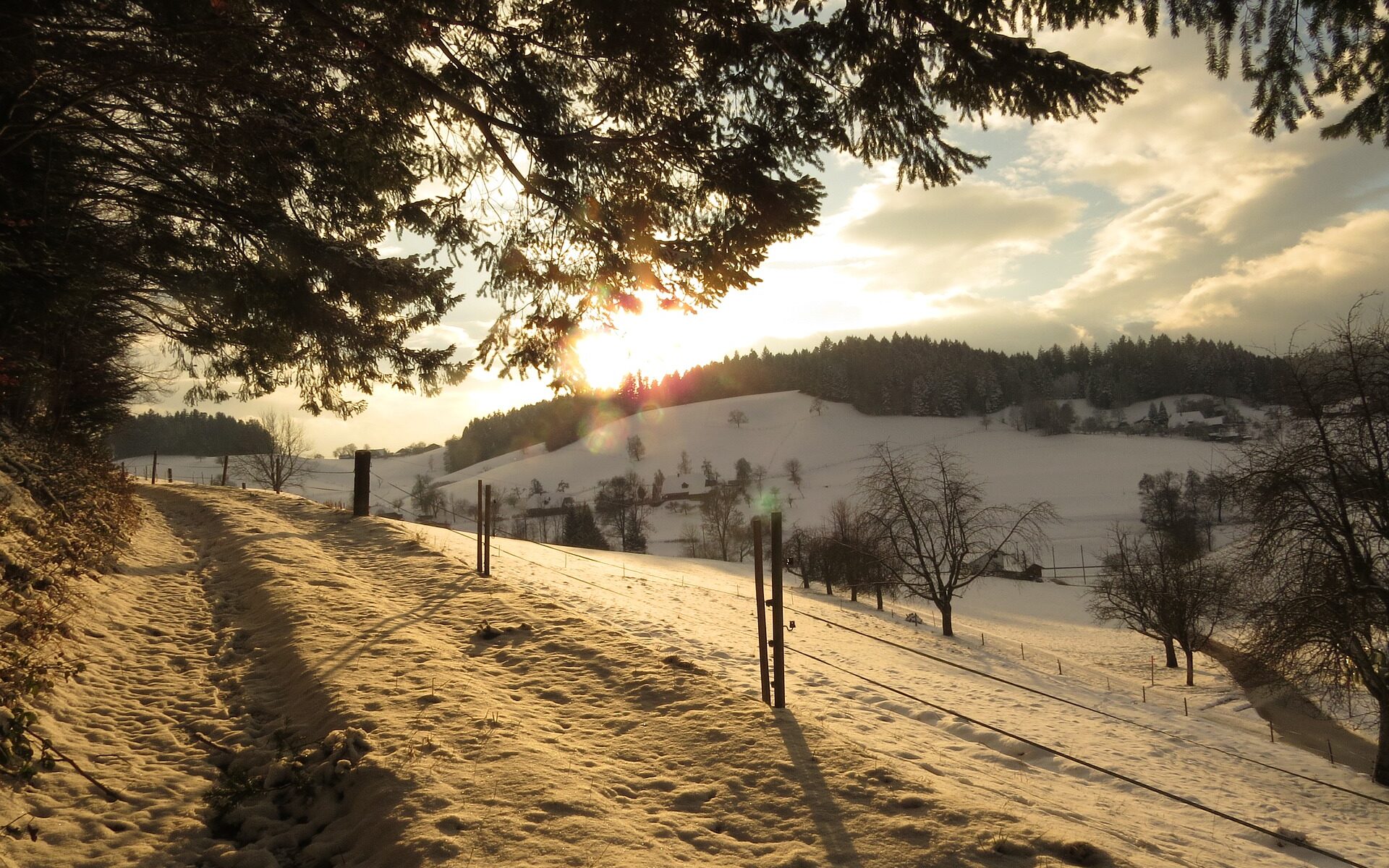 Übersetzungsbüro Ursenbach