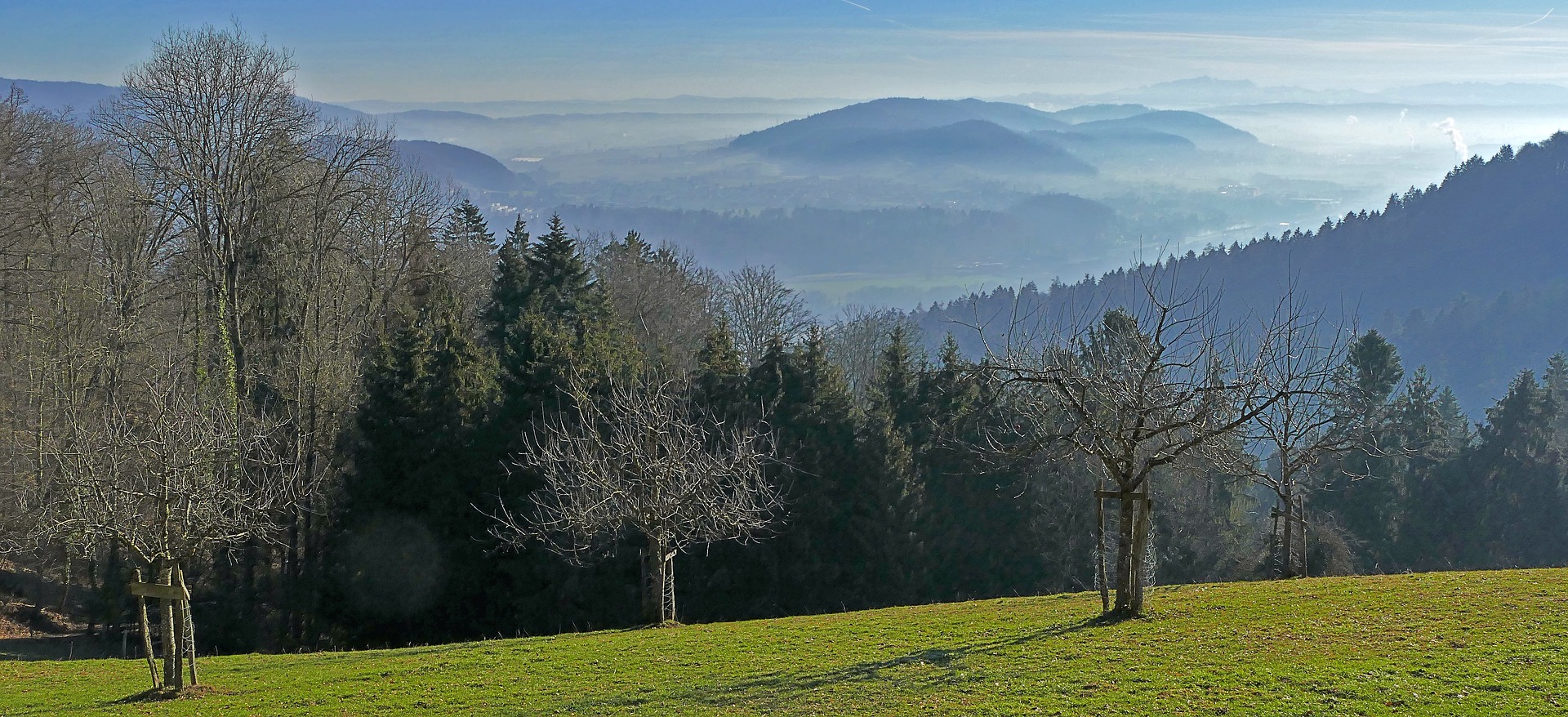 Traduzioni professionali a Bergdietikon