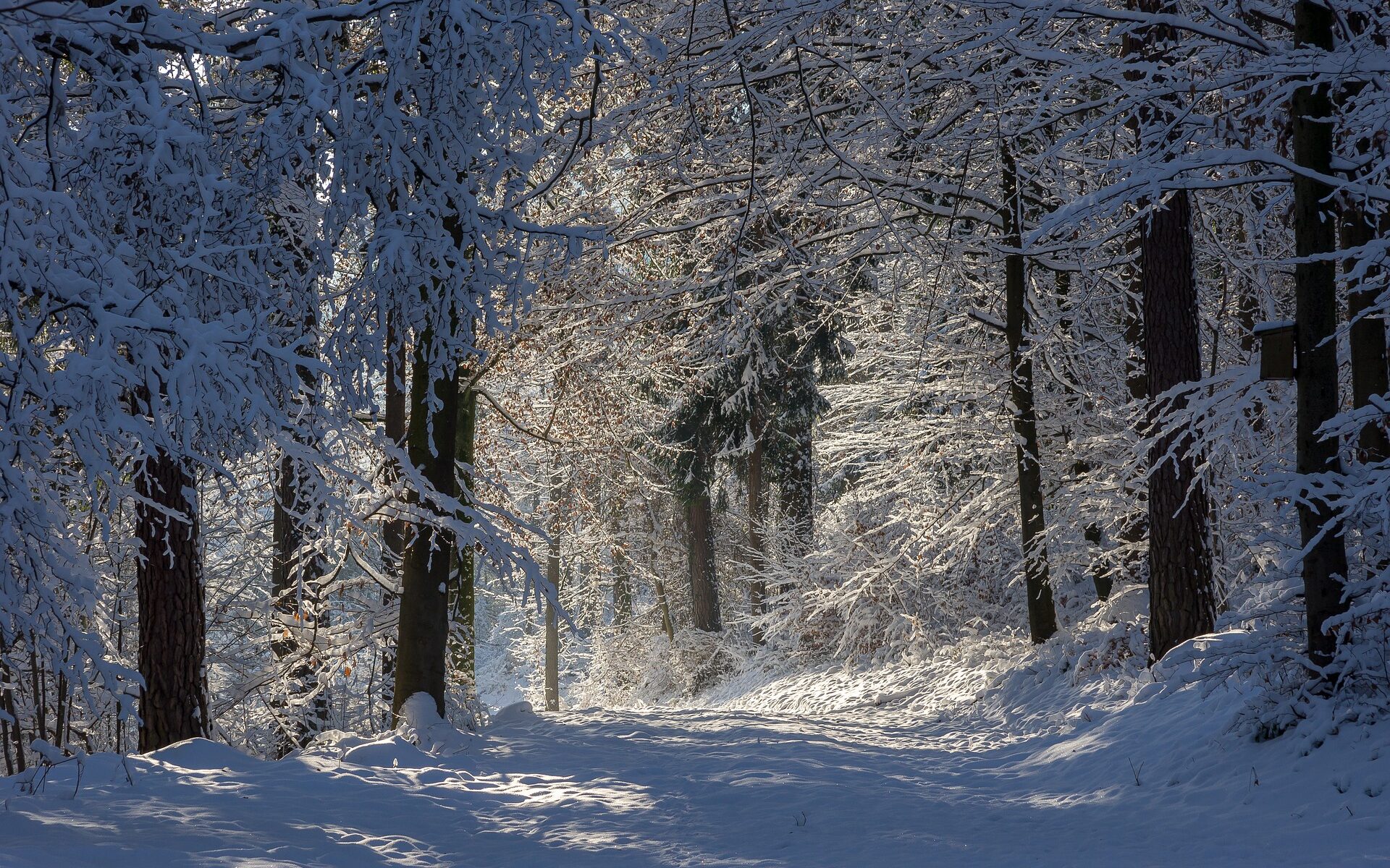 Übersetzungsbüro Wachseldorn