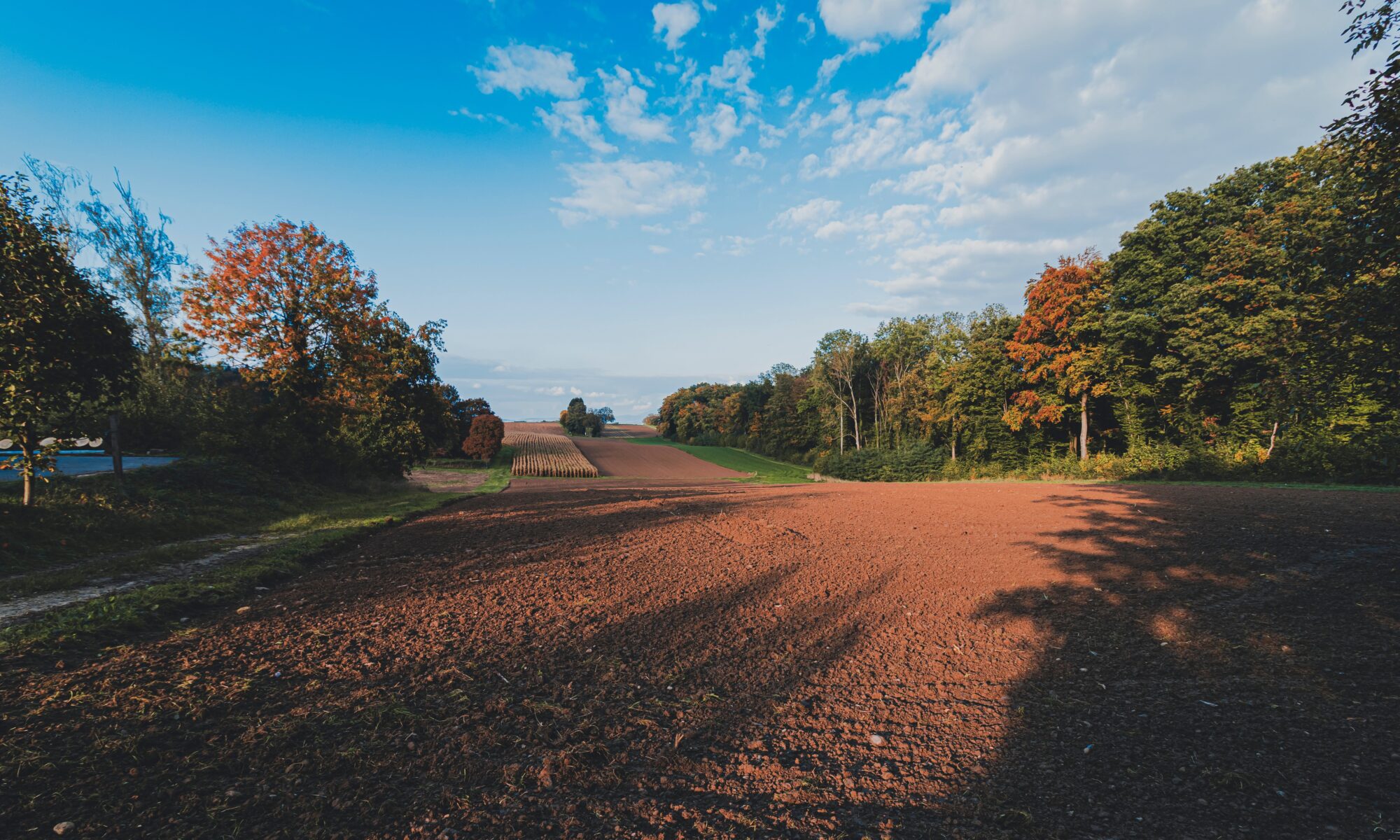 Traduzioni professionali ad Allschwil