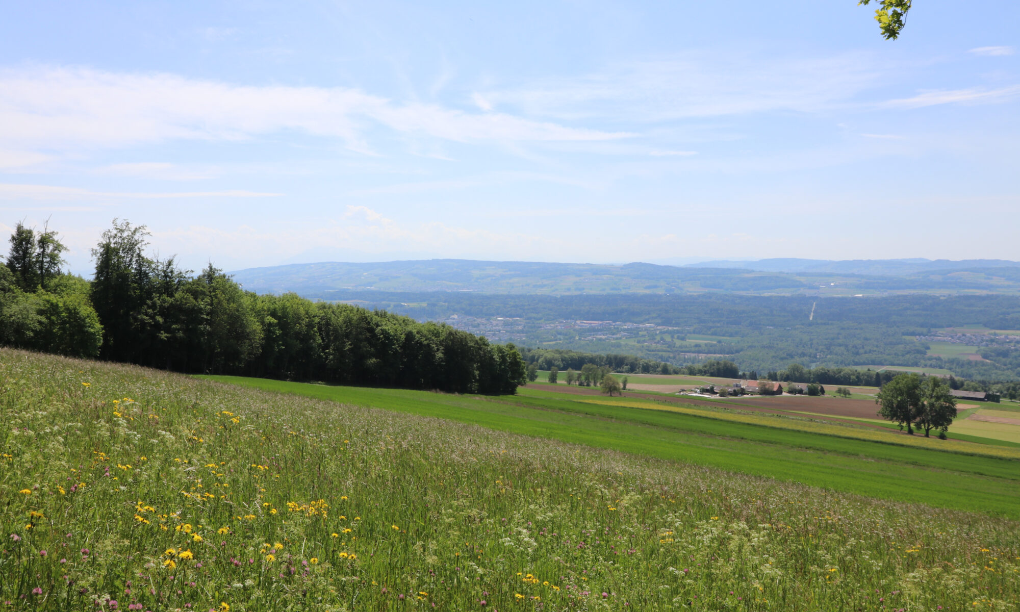 Traduzioni professionali a Baldingen