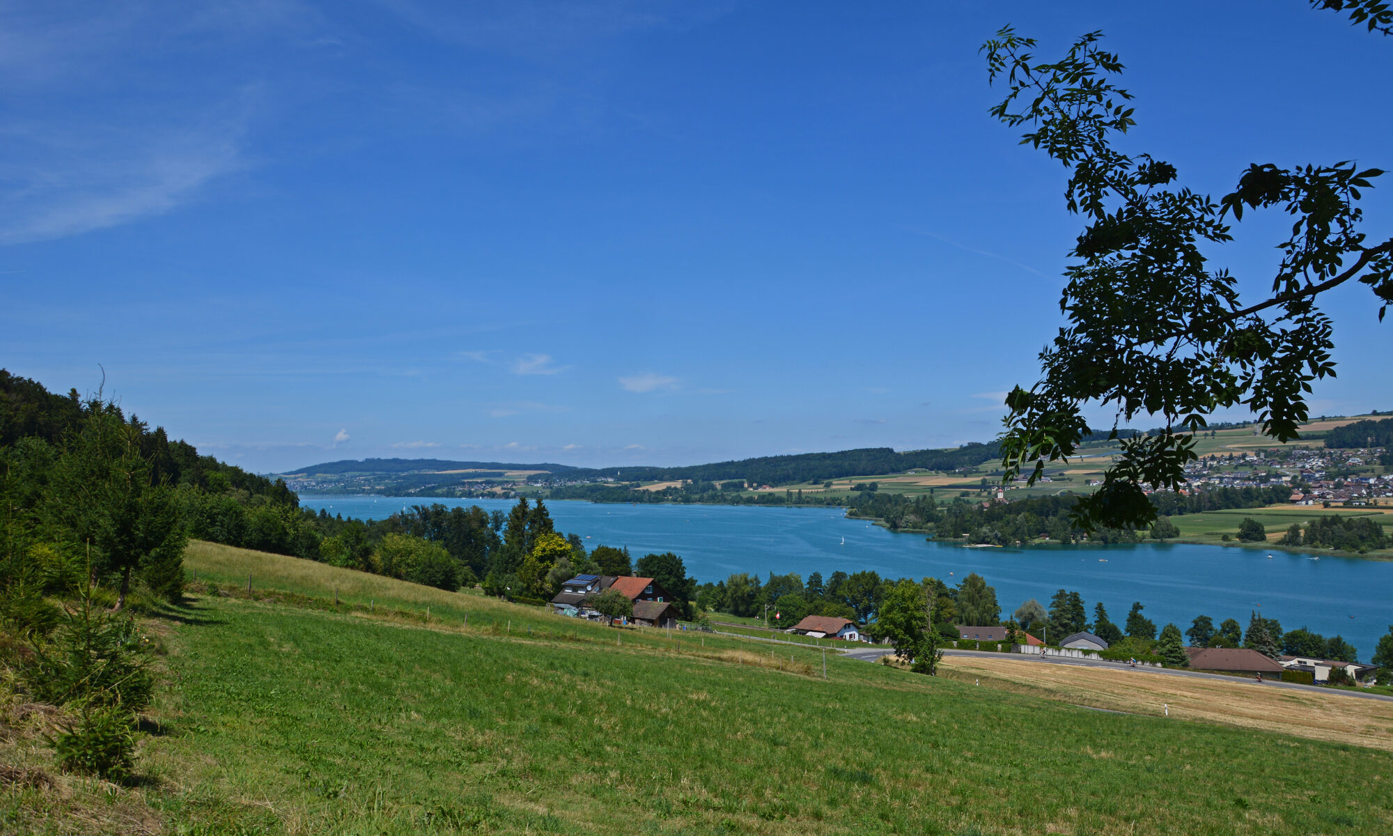 Traduzioni professionali a Beinwil am See