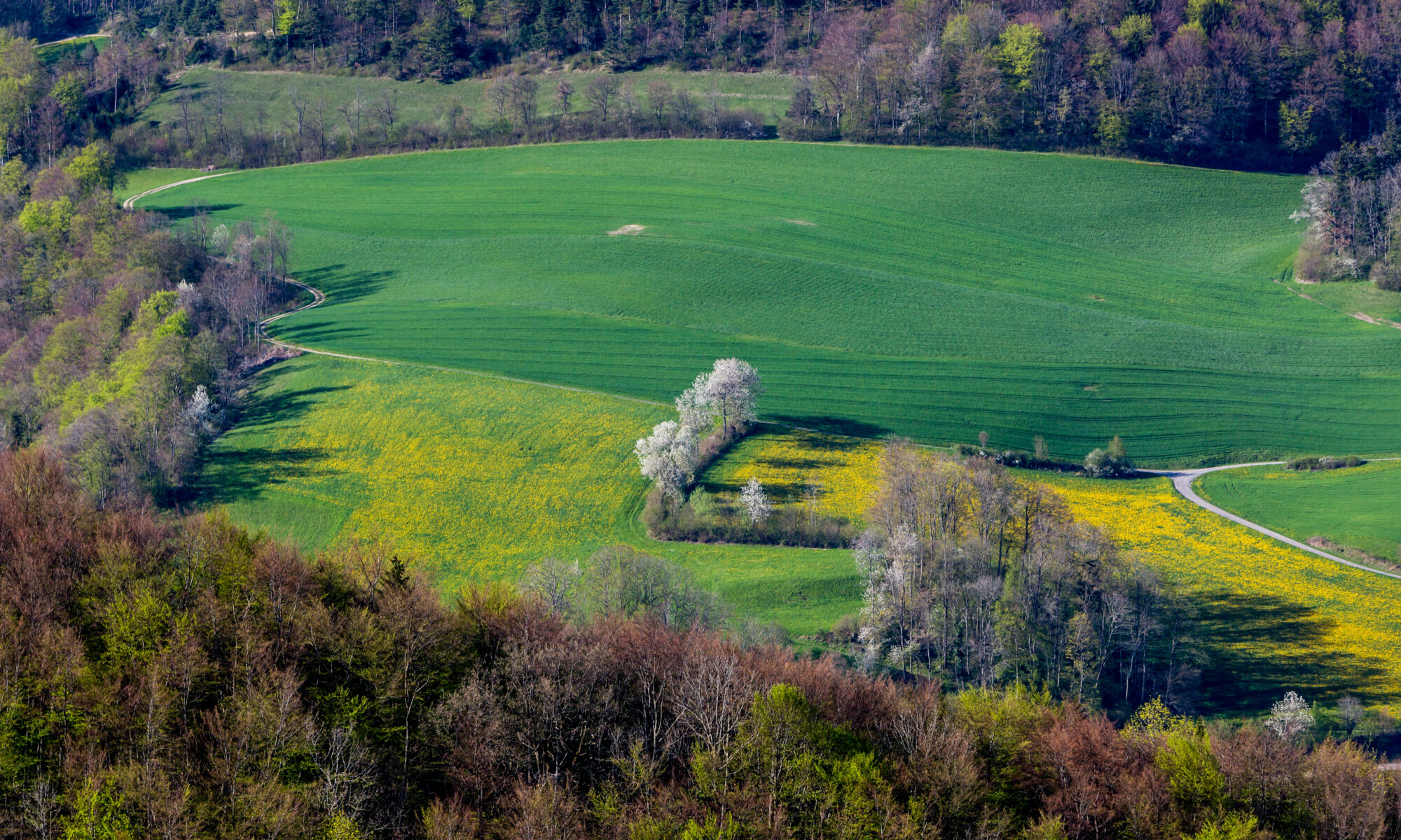 Professional translations in Birr, Aargau