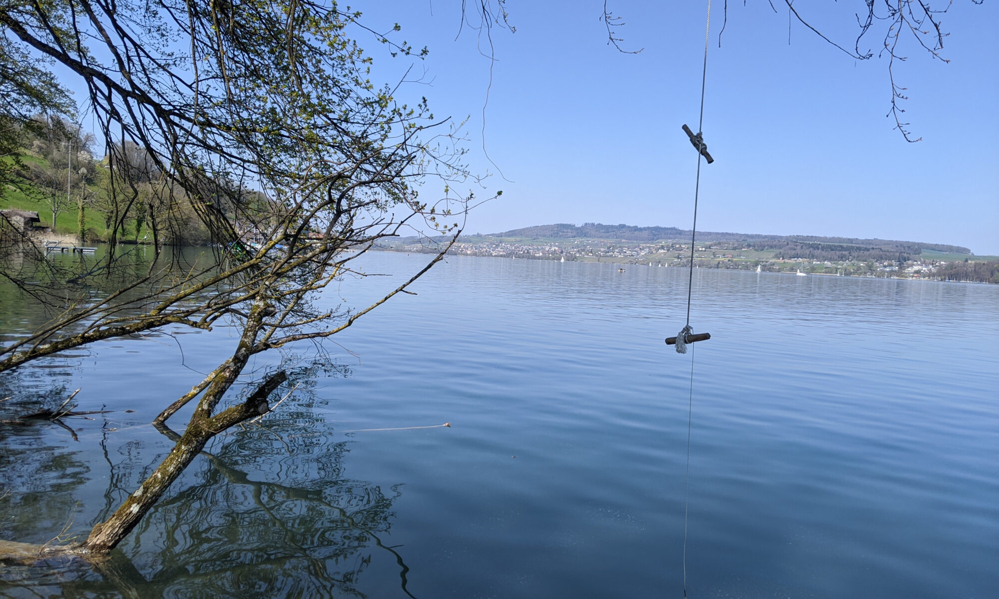 Traductions professionnelles à Birrwil