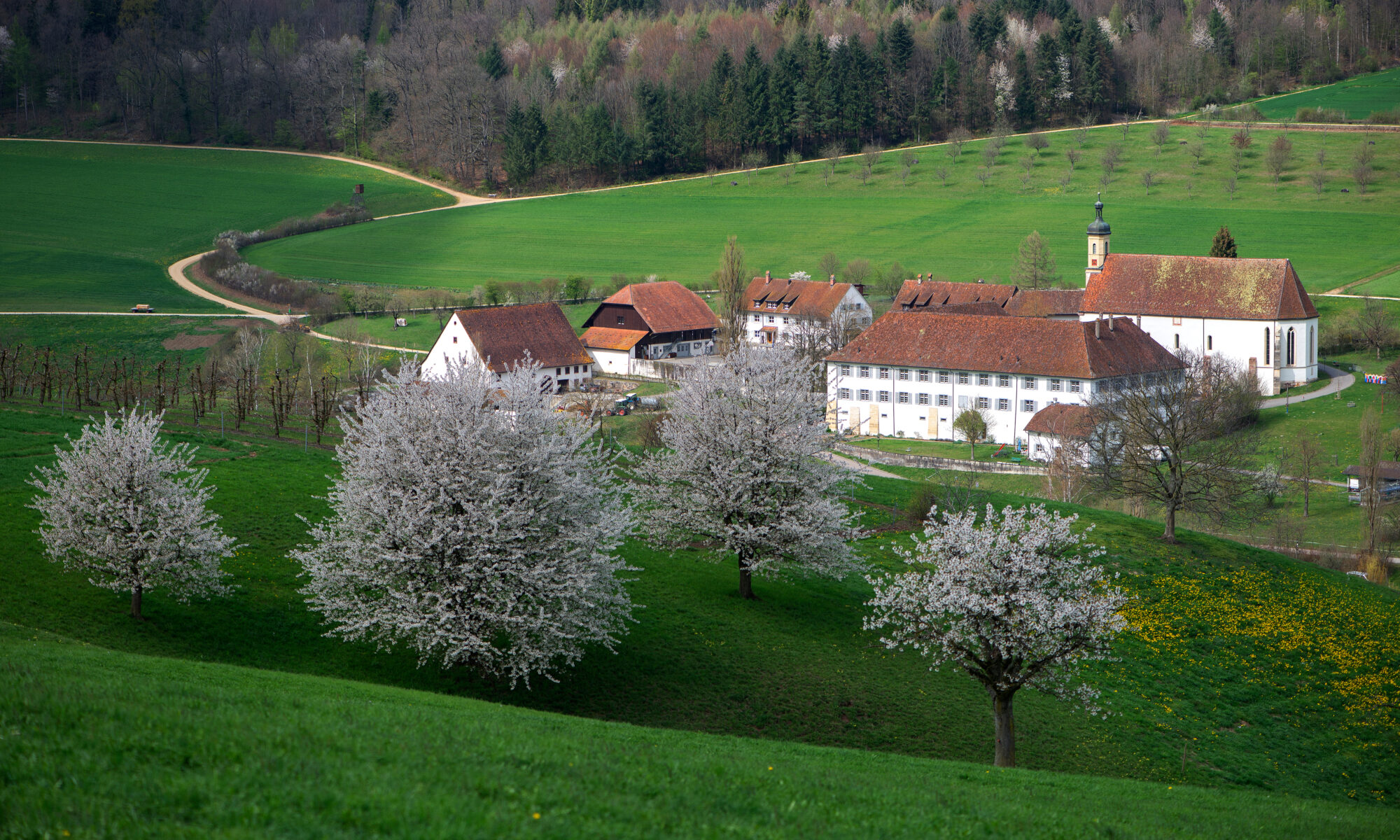 Professional translations in Olsberg