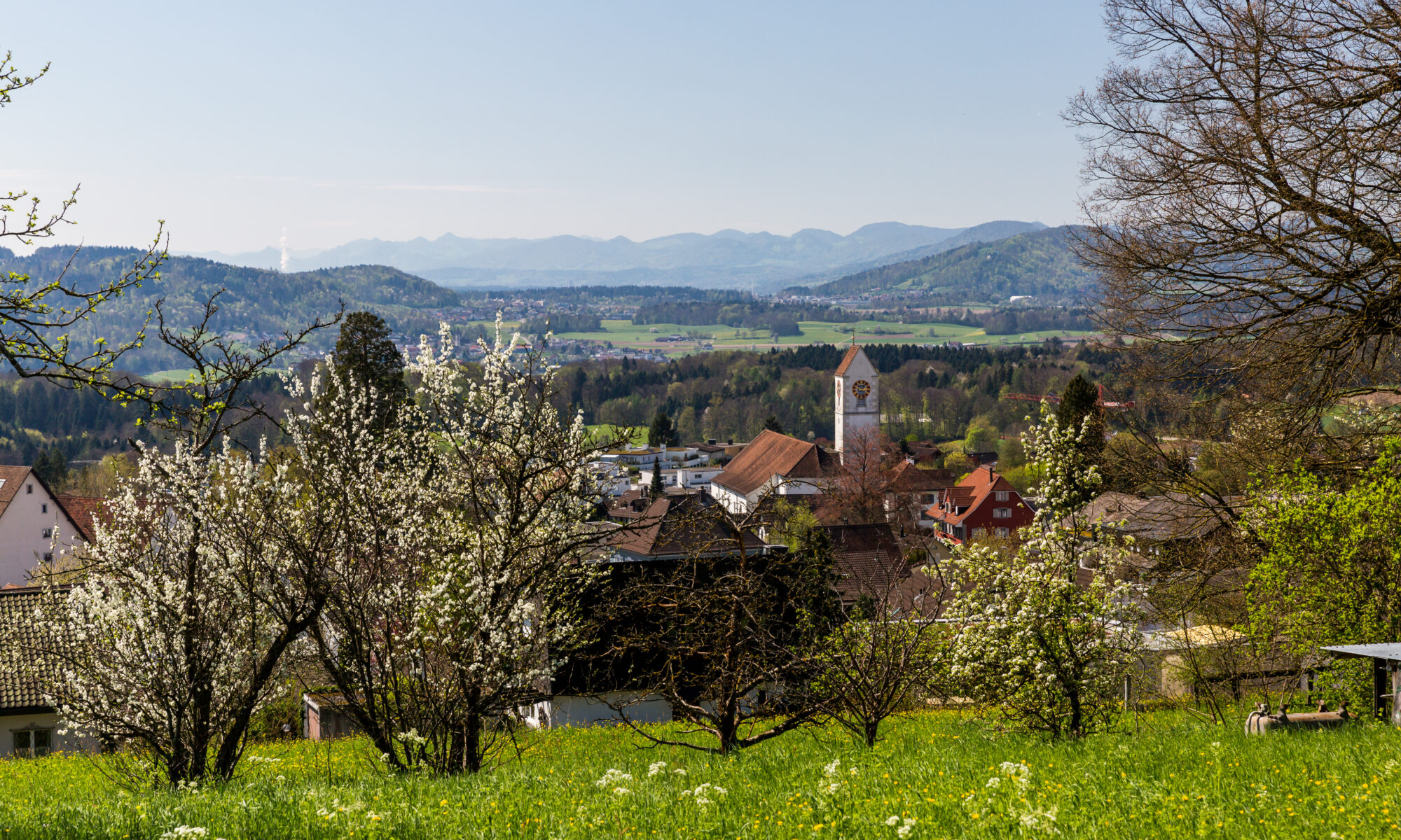 Übersetzungsbüro Remetschwil