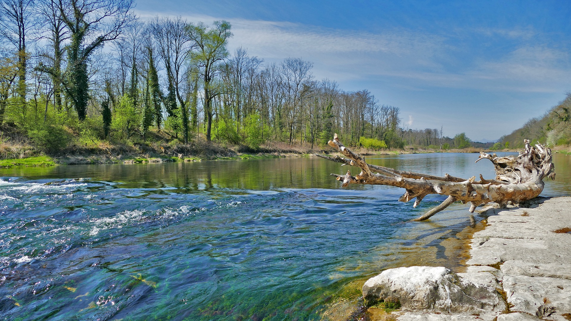 Professional translations in Boningen