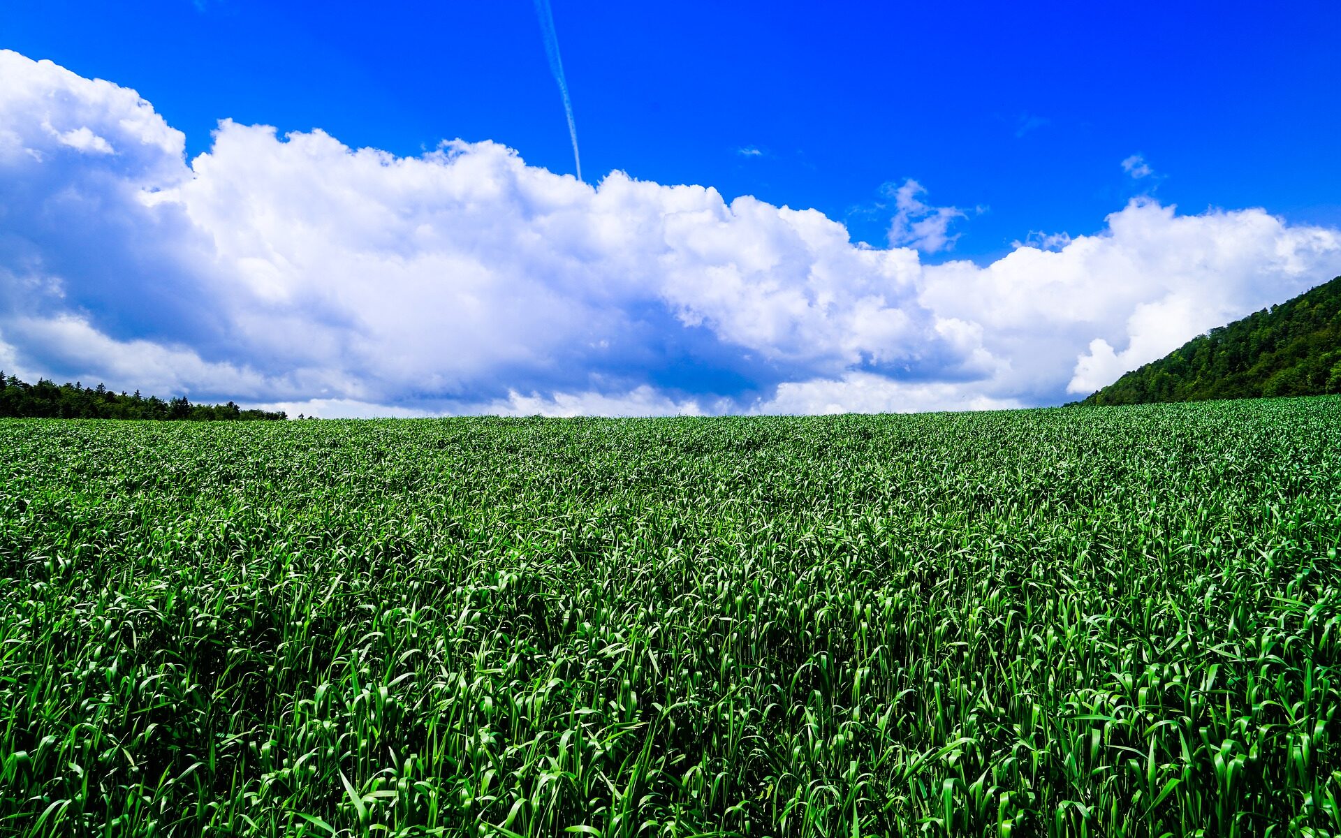 Traduzioni professionali a Drei Höfe