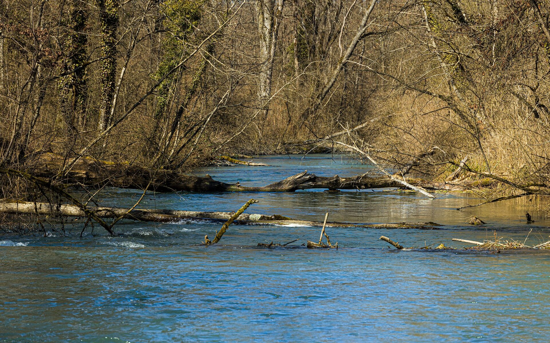 Traduzioni professionali ad Eppenberg-Wöschnau