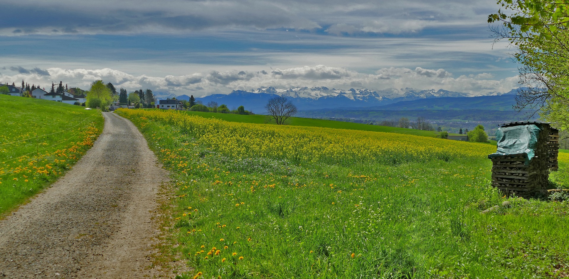 Traduzioni professionali ad Erlinsbach (Soletta)