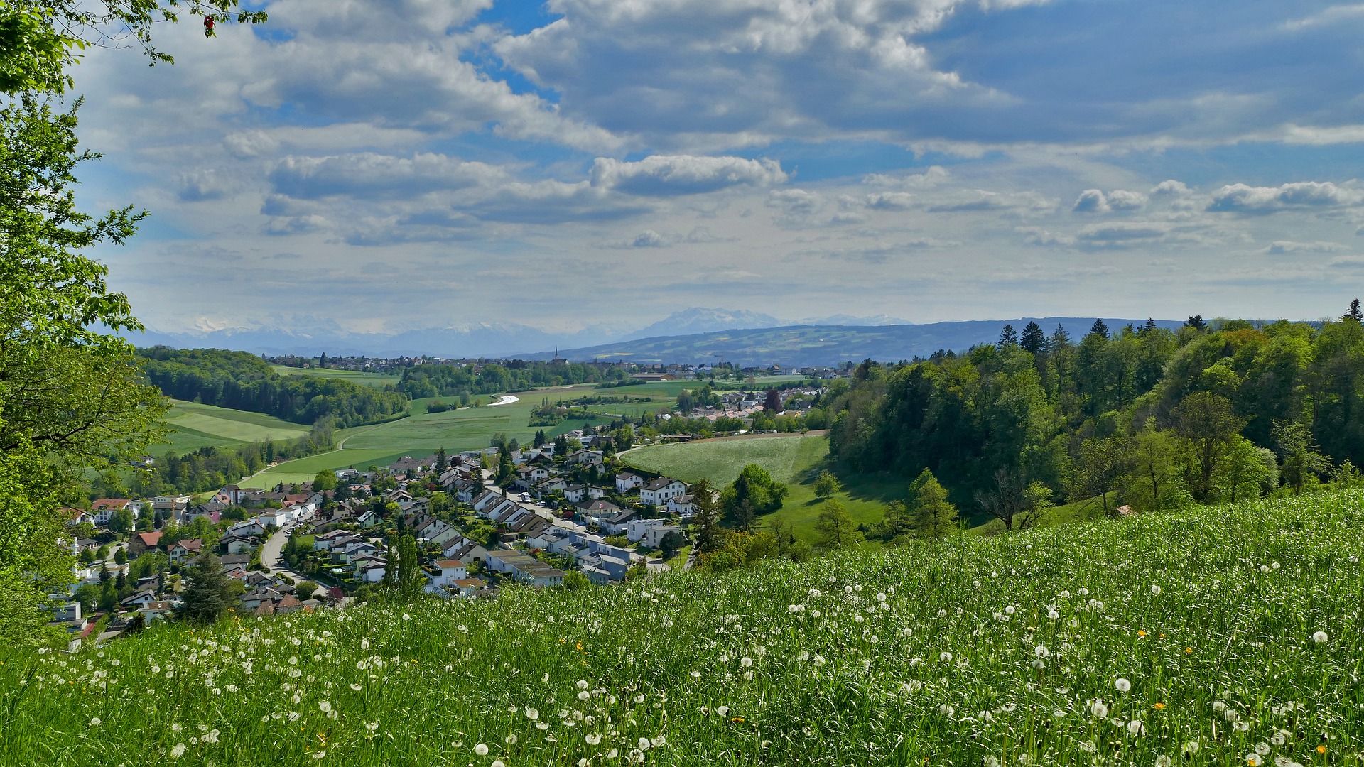 Übersetzungsbüro Rudolfstetten-Friedlisberg