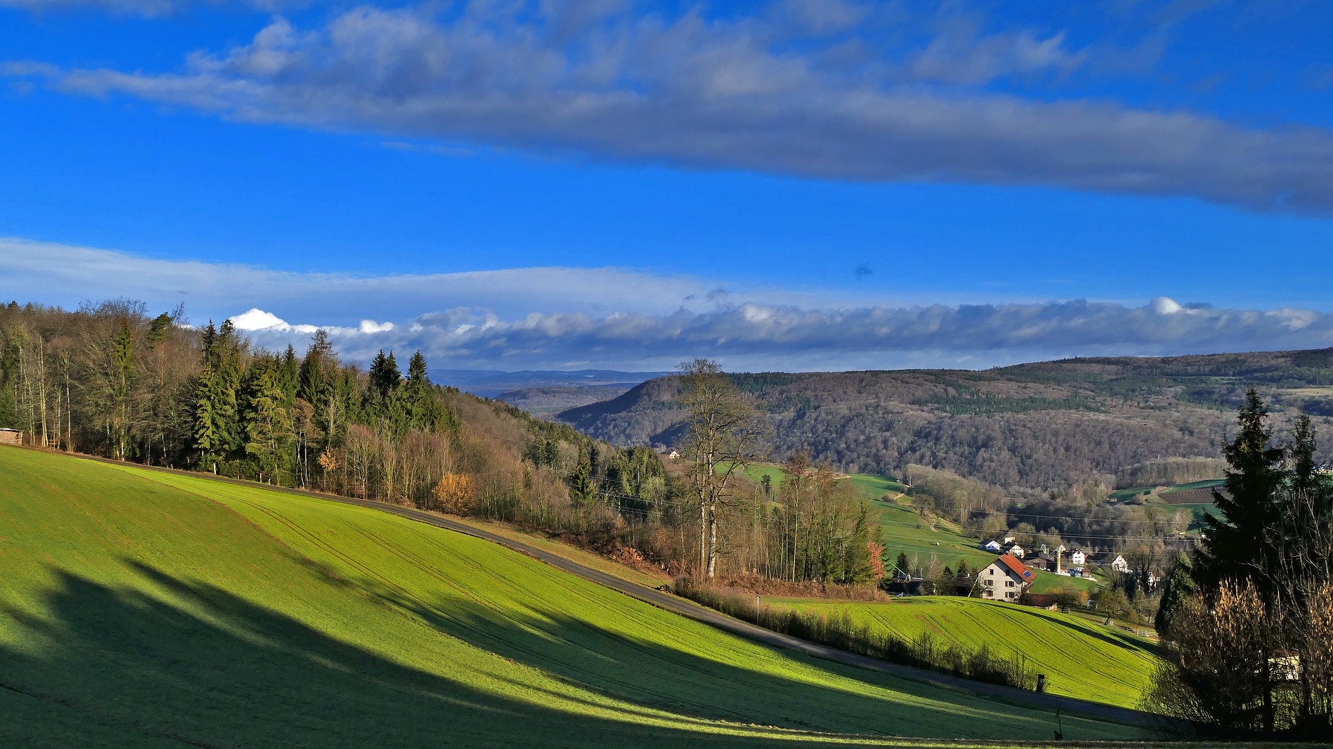 Übersetzungsbüro Wislikofen