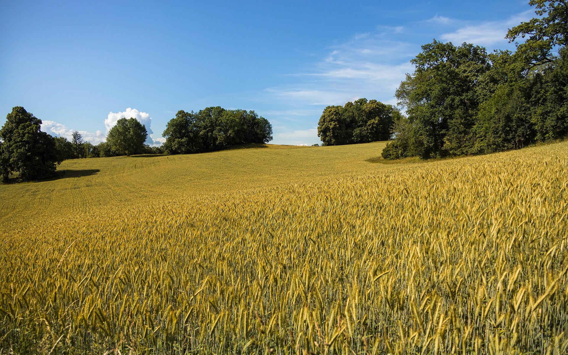 Übersetzungsbüro Hochwald