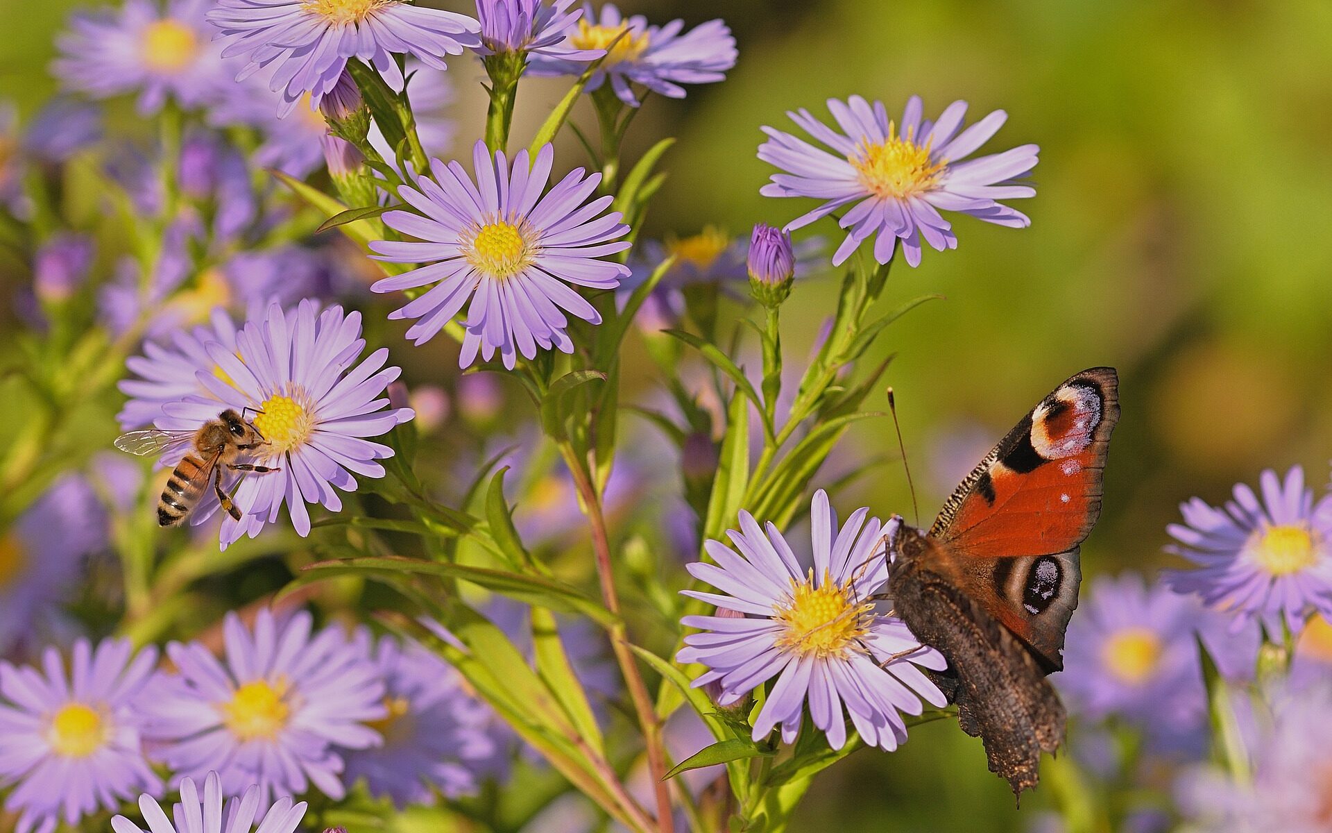 Traductions professionnelles à Horriwil