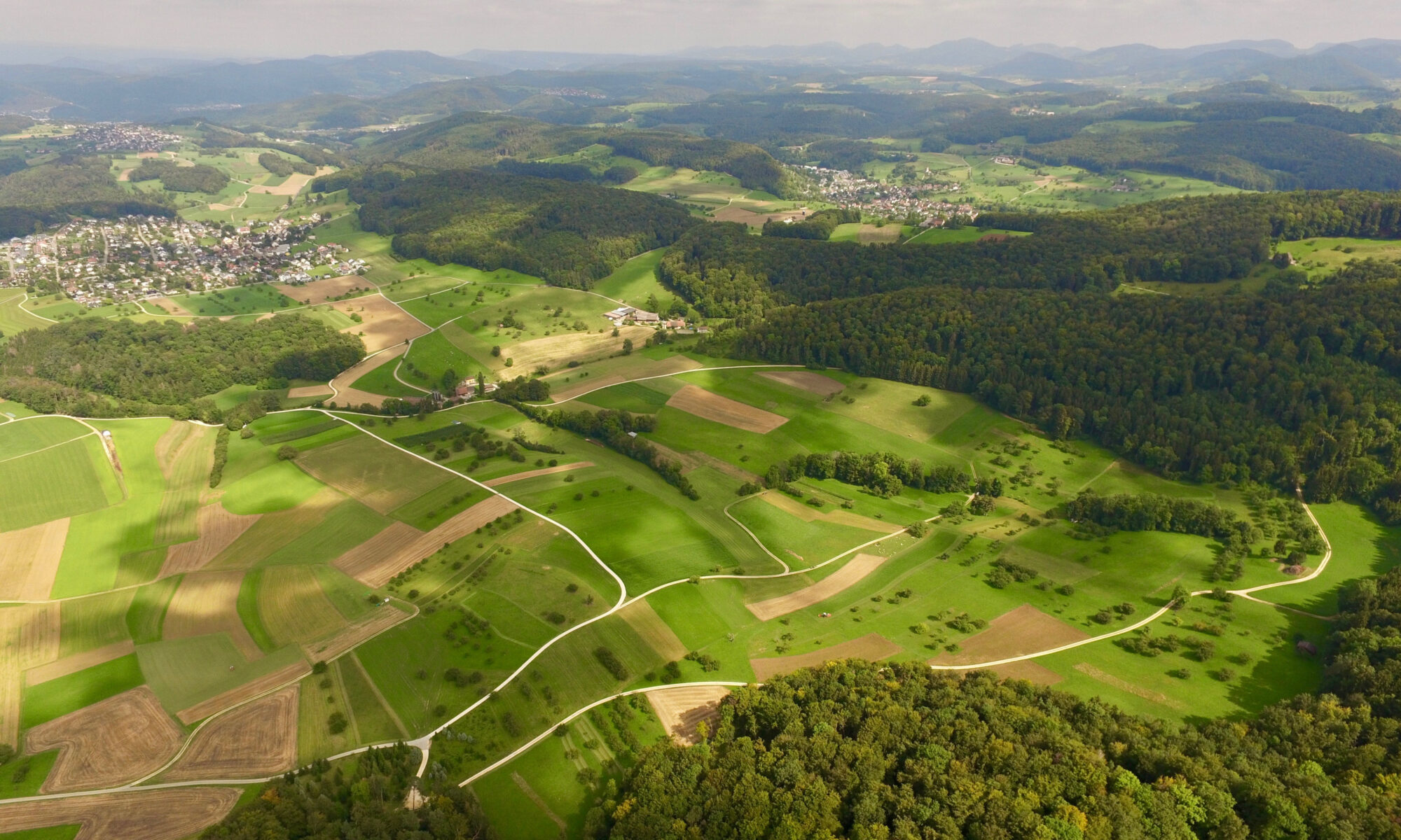 Traduzioni professionali a Lupsingen