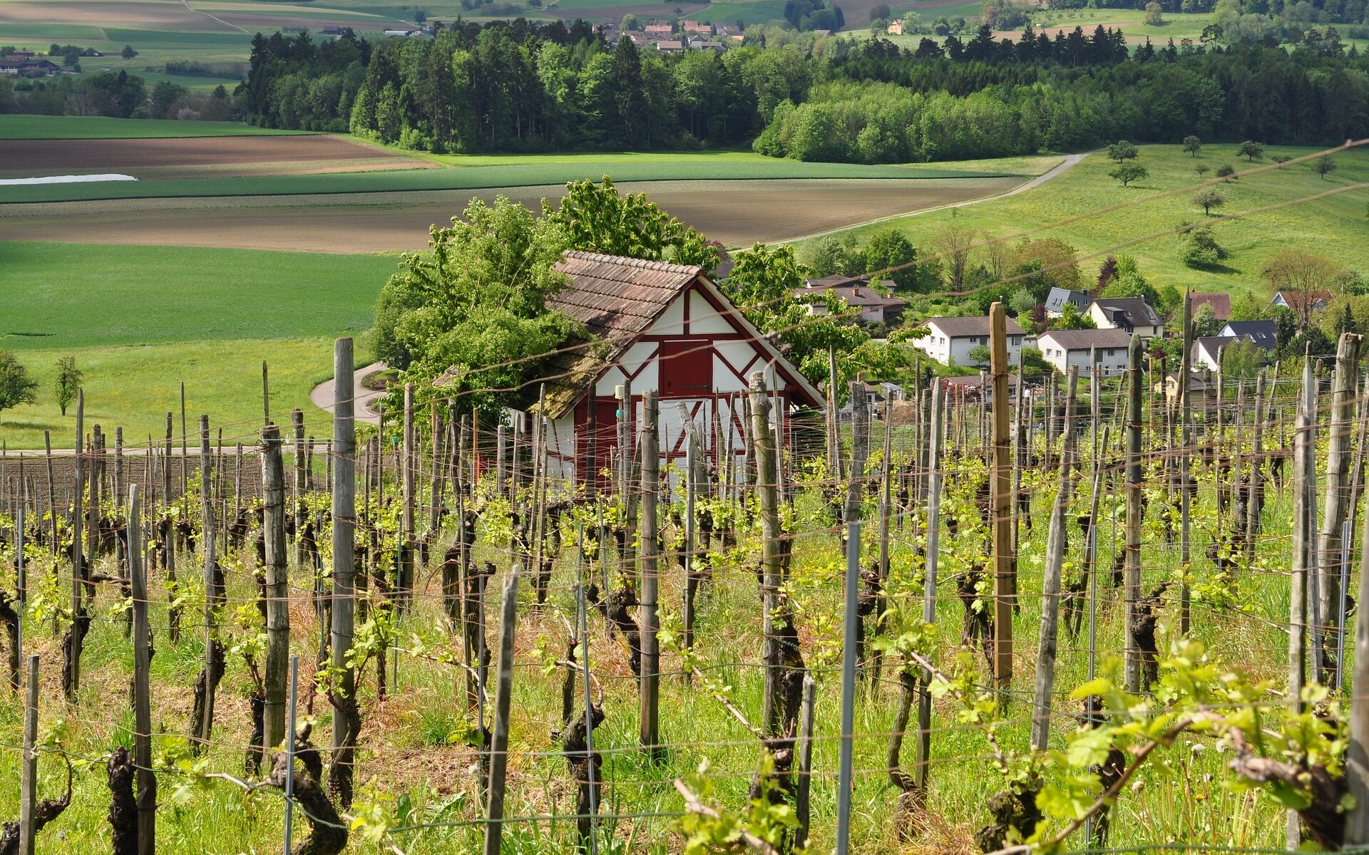 Übersetzungsbüro Stettfurt