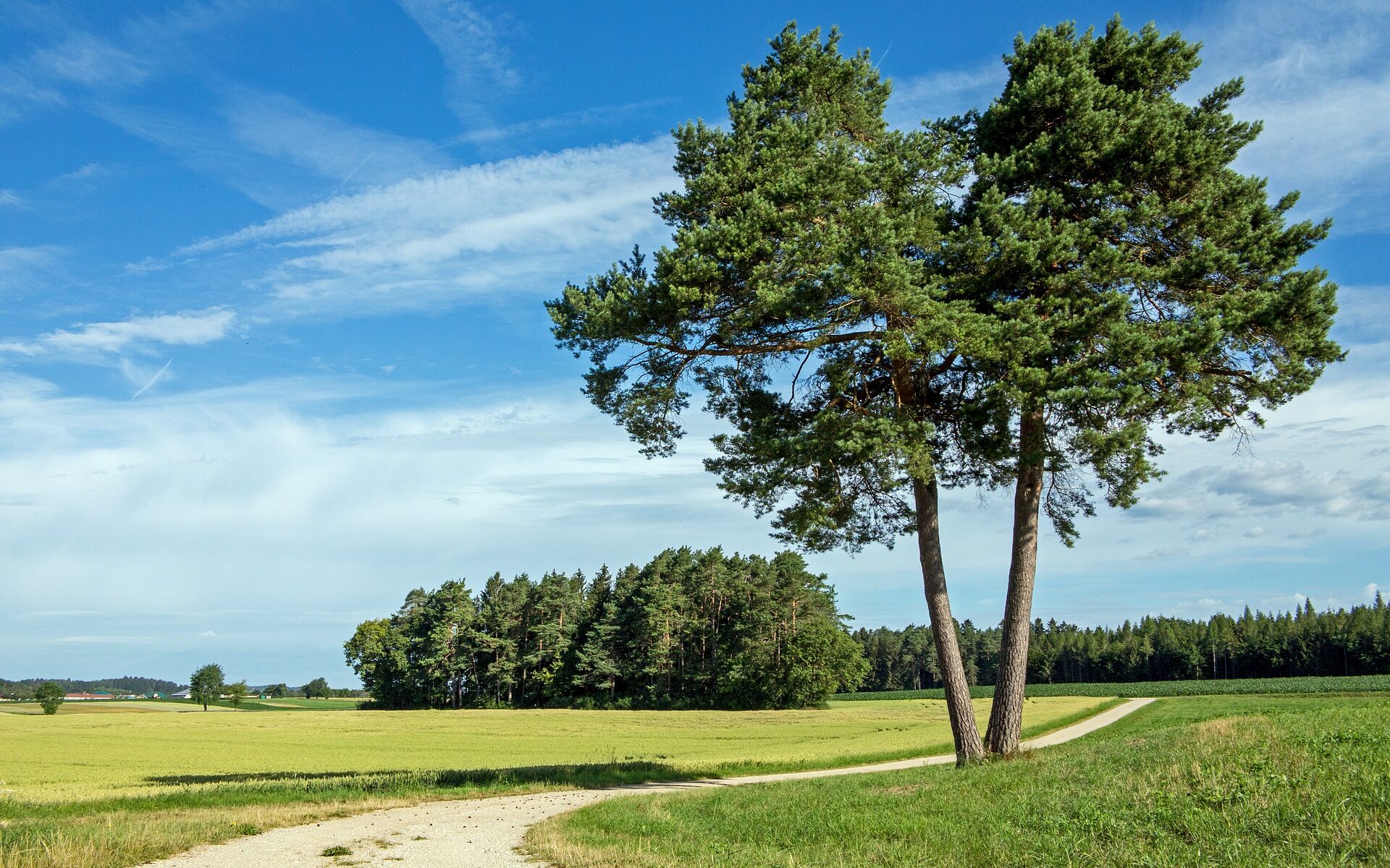 Übersetzungsbüro Wilen (TG)