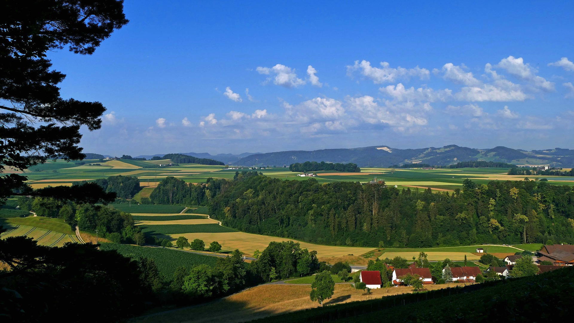 Professional translations in Herznach