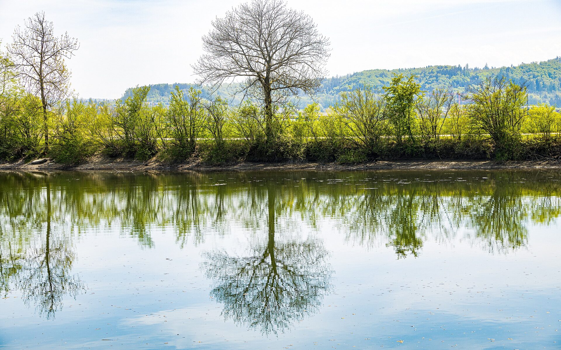 Professional translations in Holderbank, Aargau