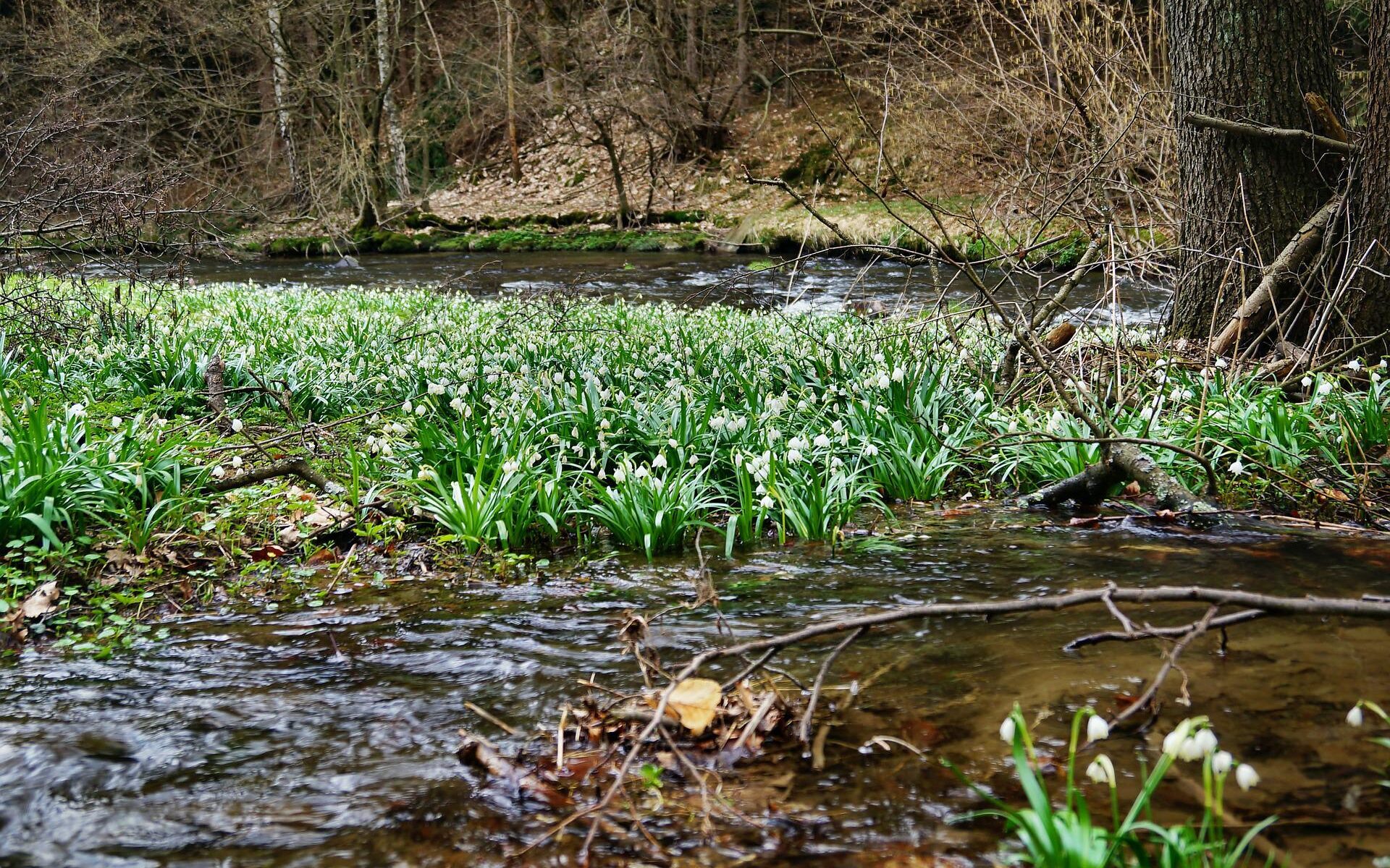 Übersetzungsbüro Kleinbösingen