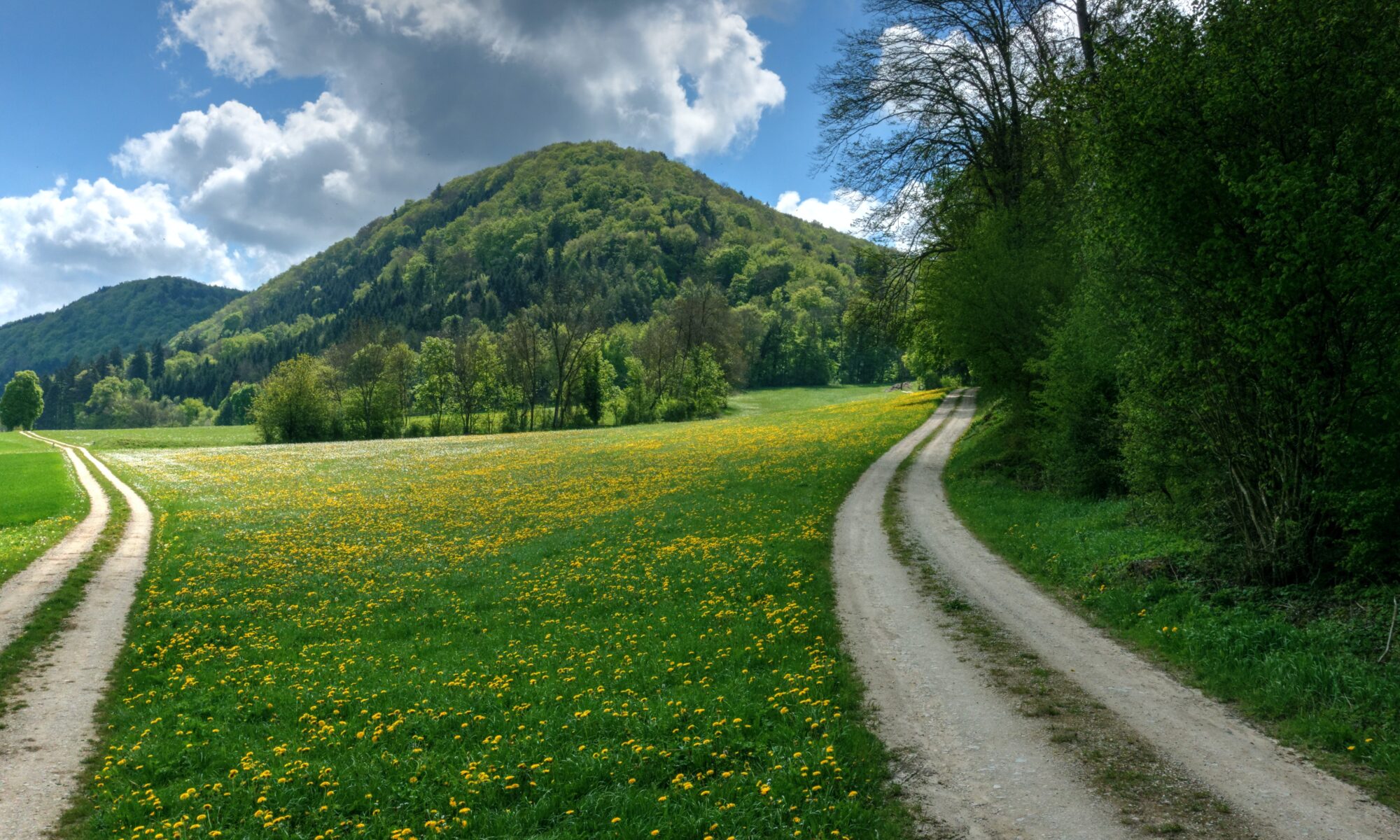 Traduzioni professionali a Wilchingen